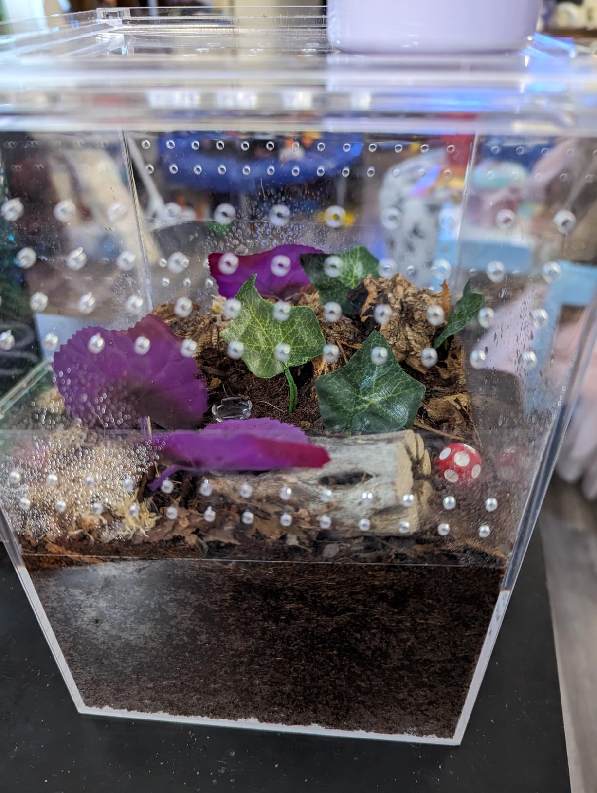 NANEEZOO Magnetic Acrylic Reptile Cage, 6