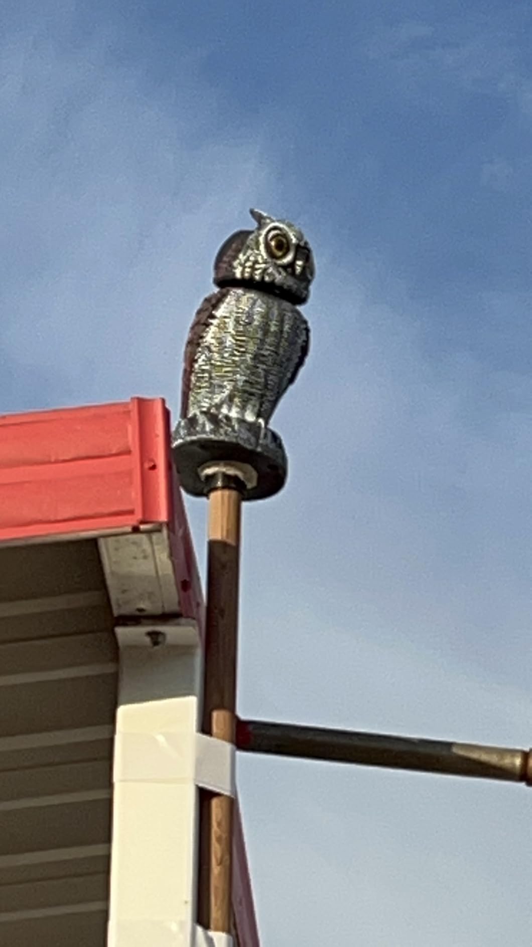 Hausse 3 Pack Bird Scarecrow Fake Owl Decoy Sculpture, Rotating Head Plastic Owl Bird Deterrents, 10.6 Inch Height Nature Enemy Horned Pest Repellent for Outdoor Garden Yard customer photo 2