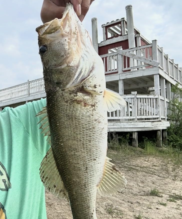 TRUSCEND Popobait Easy Catch Fishing Lures with BKK Hooks, Plopper Topwater Lures for Bass, Trout, Pike, Walleye customer photo 1