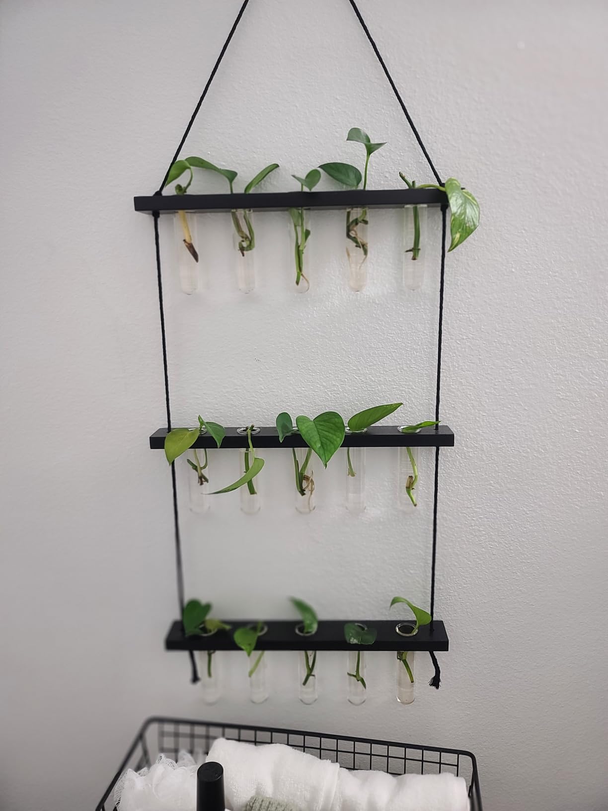 Mkono Plant Propagation Tubes, 3 Tiered Wall Hanging Terrarium with Wooden Stand Mini Test Tube Flower Vase Glass Planter Stations for Hydroponic Cutting Home Garden Office Decor Plant Lover Gift customer photo 2