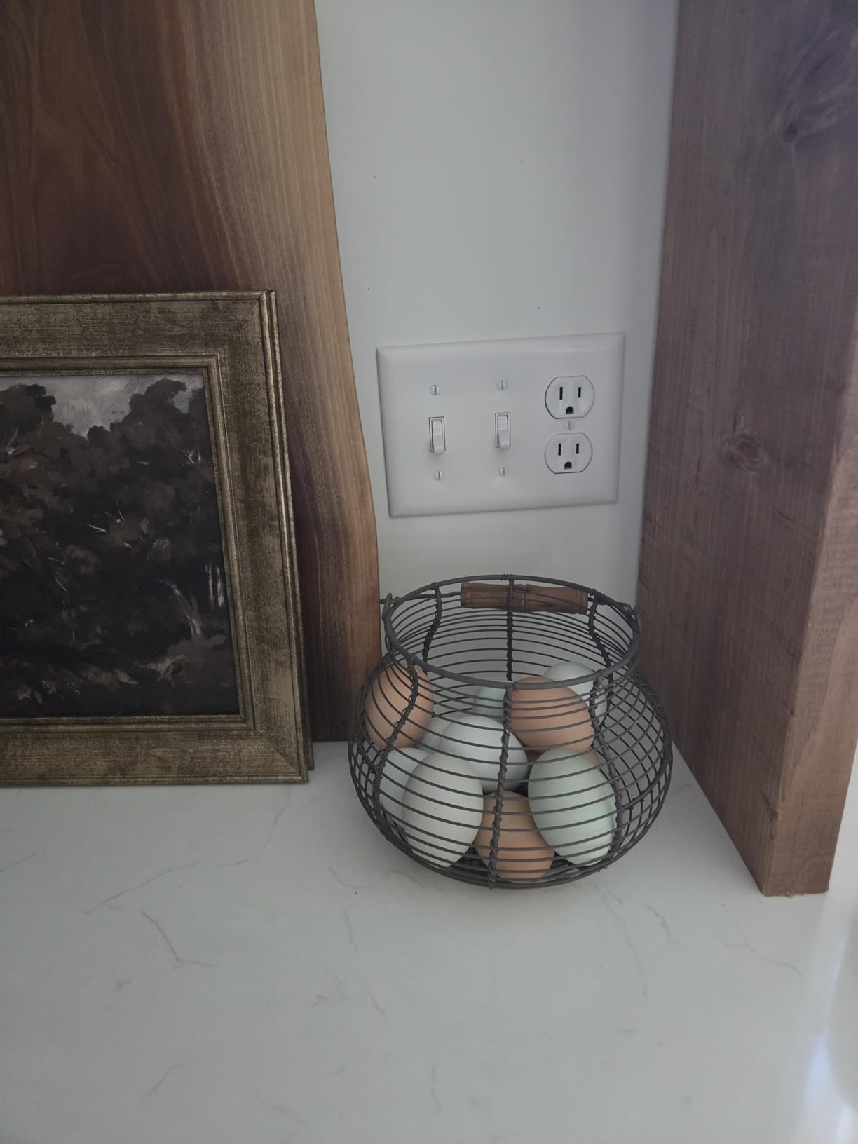 LINCOUNTRY Farmhouse Wire Egg Baskets for Gathering Fresh Egg With Handle, Round Metal Chicken Egg Collecting Basket Countertop Holder Vintage Style for Kitchen customer photo 1