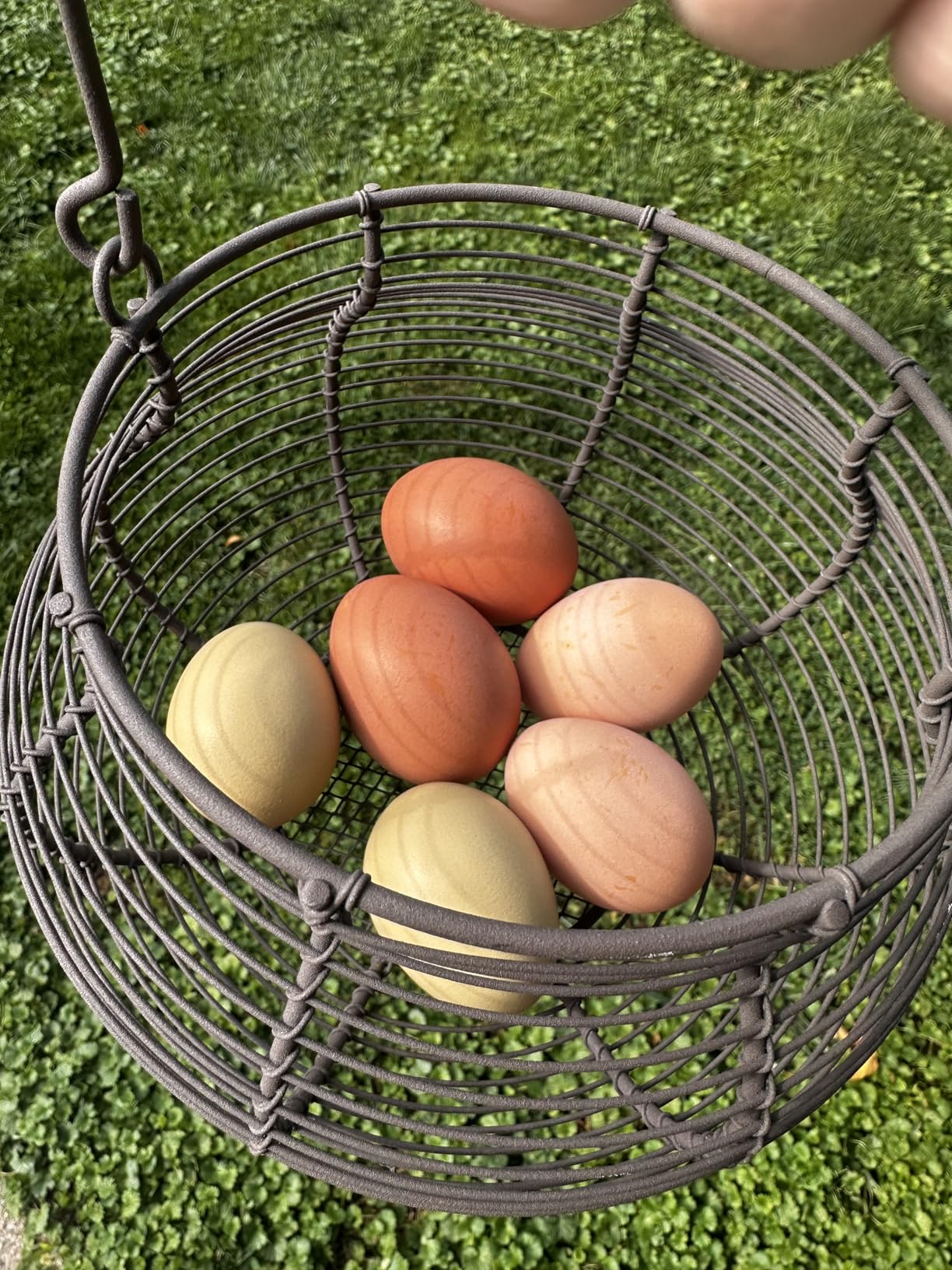 LINCOUNTRY Farmhouse Wire Egg Baskets for Gathering Fresh Egg With Handle, Round Metal Chicken Egg Collecting Basket Countertop Holder Vintage Style for Kitchen customer photo 2