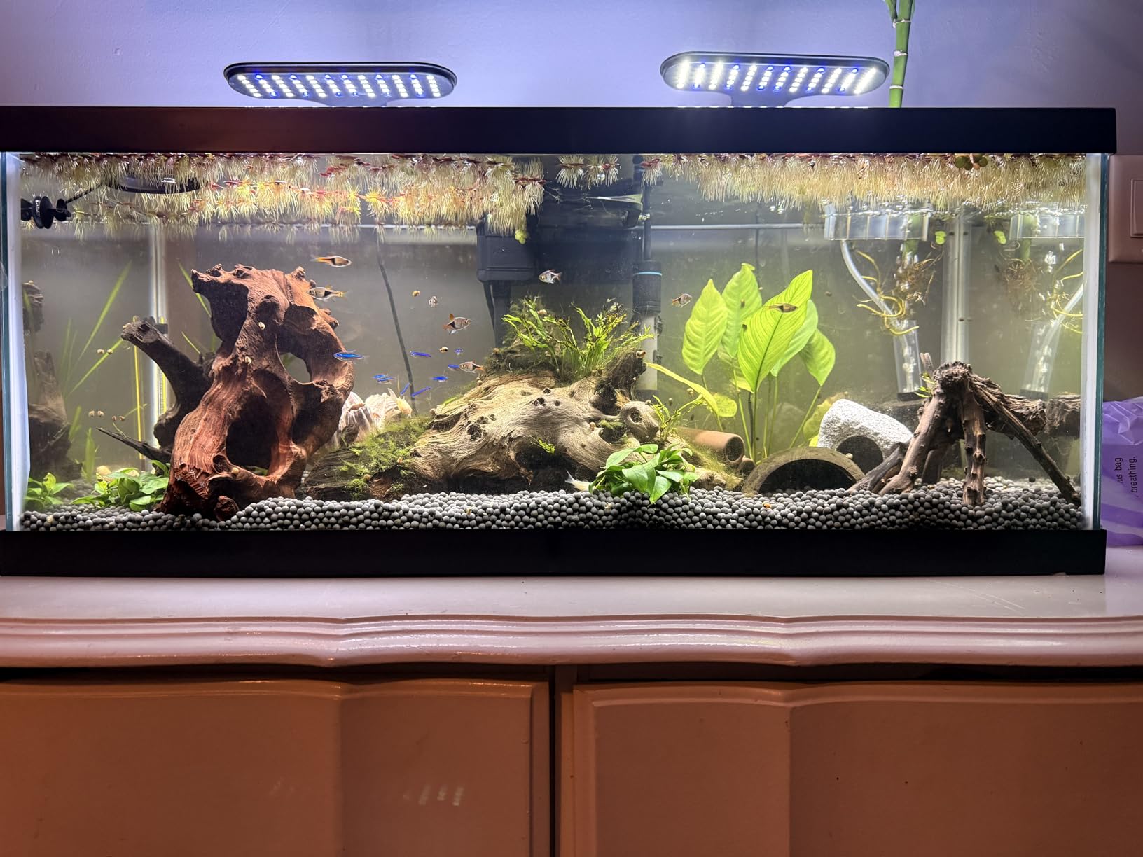 Ameliade Aquarium Decorations Cave Fish Tank Accessories Rock Decor for Shrimp Cichlid Hiding Breeding Small Fish Bowl Hide Decoration Betta Toys Hideout Stones House (Medium) customer photo 2