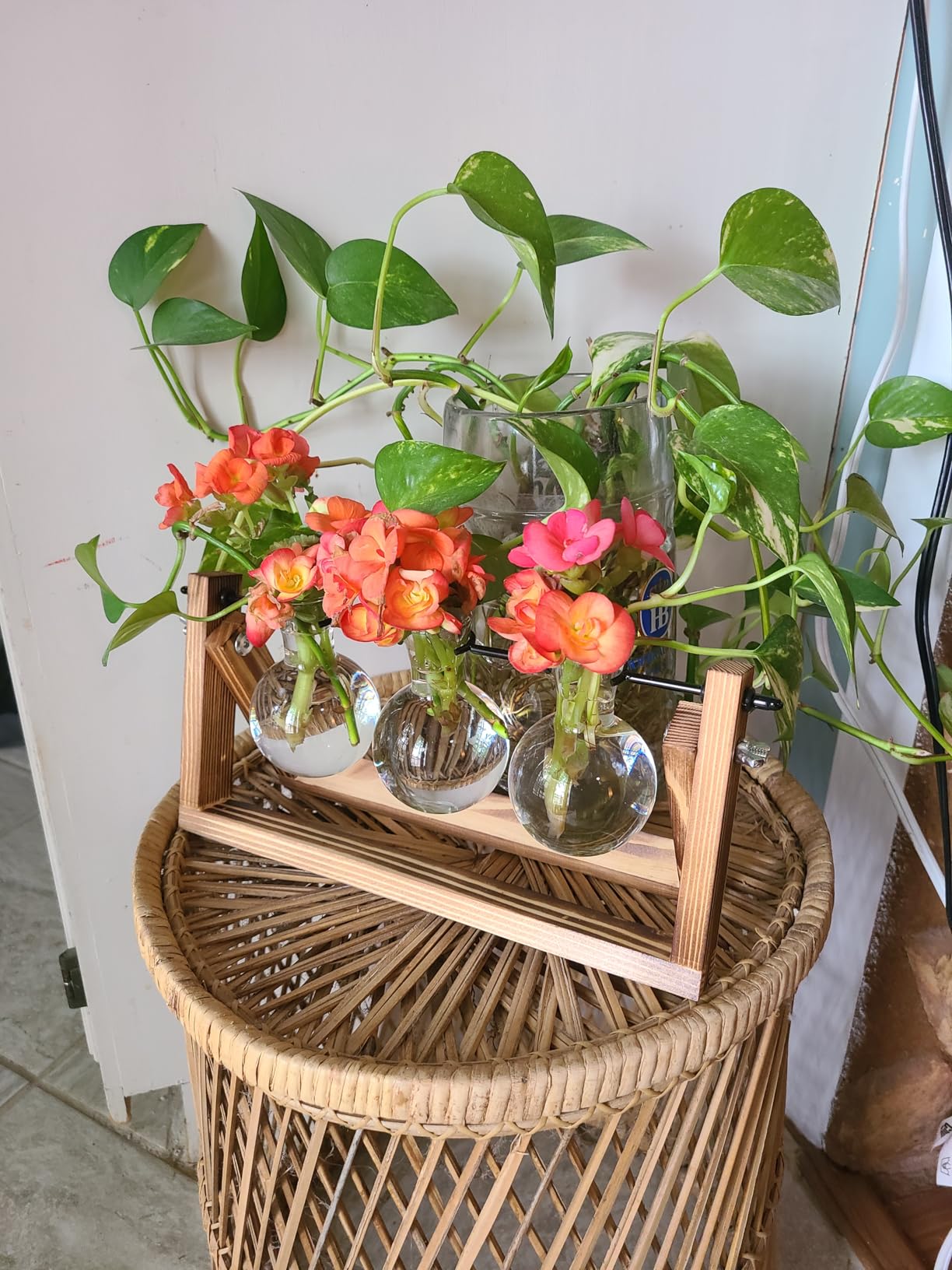 Renmxj Plant Propagation Stations with Wooden Stand & 3 Glass Bulb Vases - Plant Terrarium for Indoor Plants, Home Office Desk Decor, Gardening Gifts for Women Mom, Birthday Gifts for Plants Lovers customer photo 2