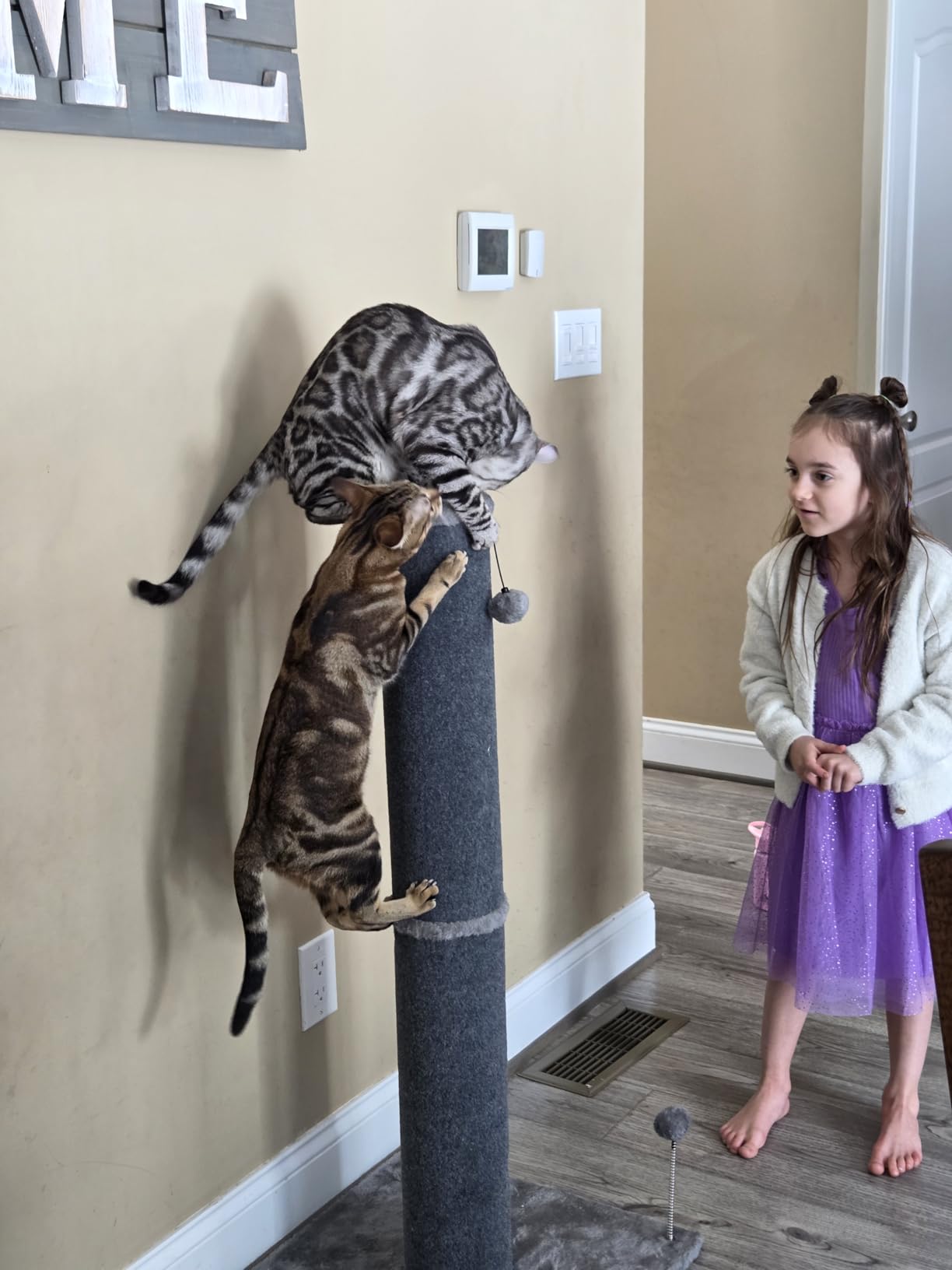 Cat Craft Cat Scratching Post Carpet Scratching Post 41