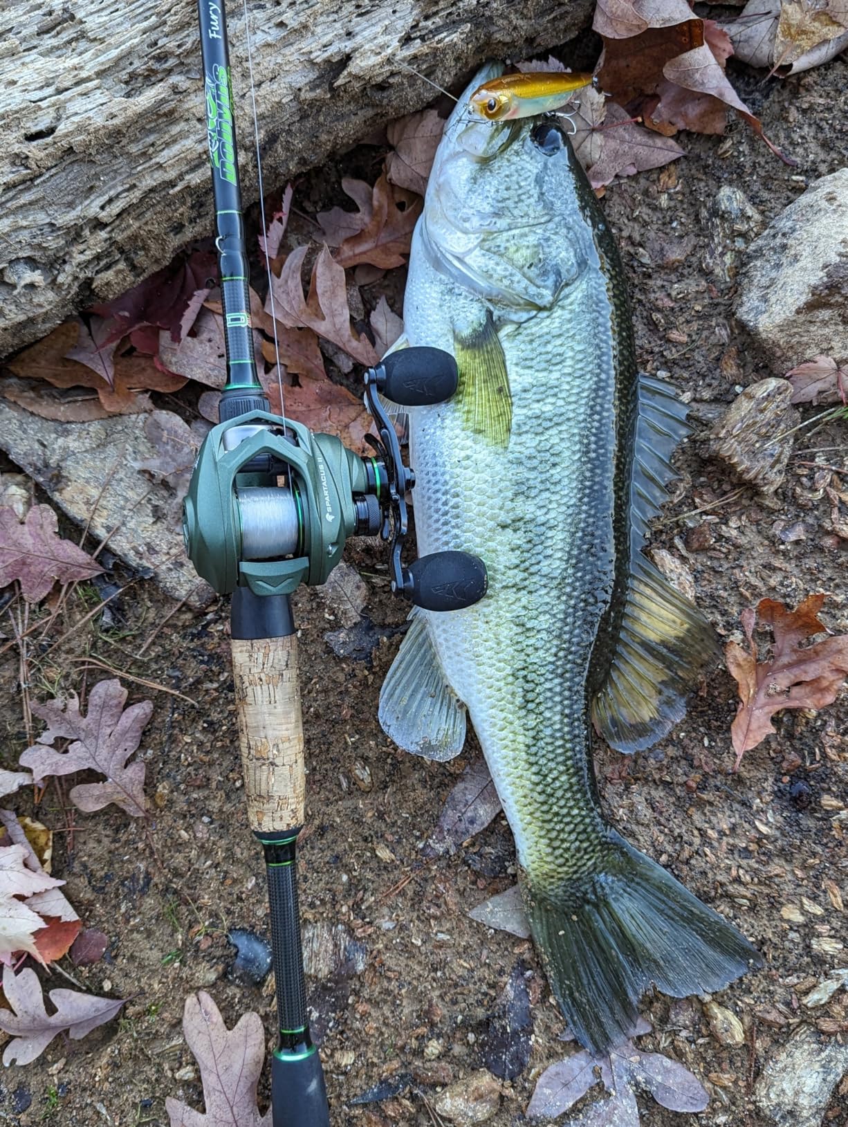 KastKing Spartacus II Baitcasting Fishing Reel customer photo 2