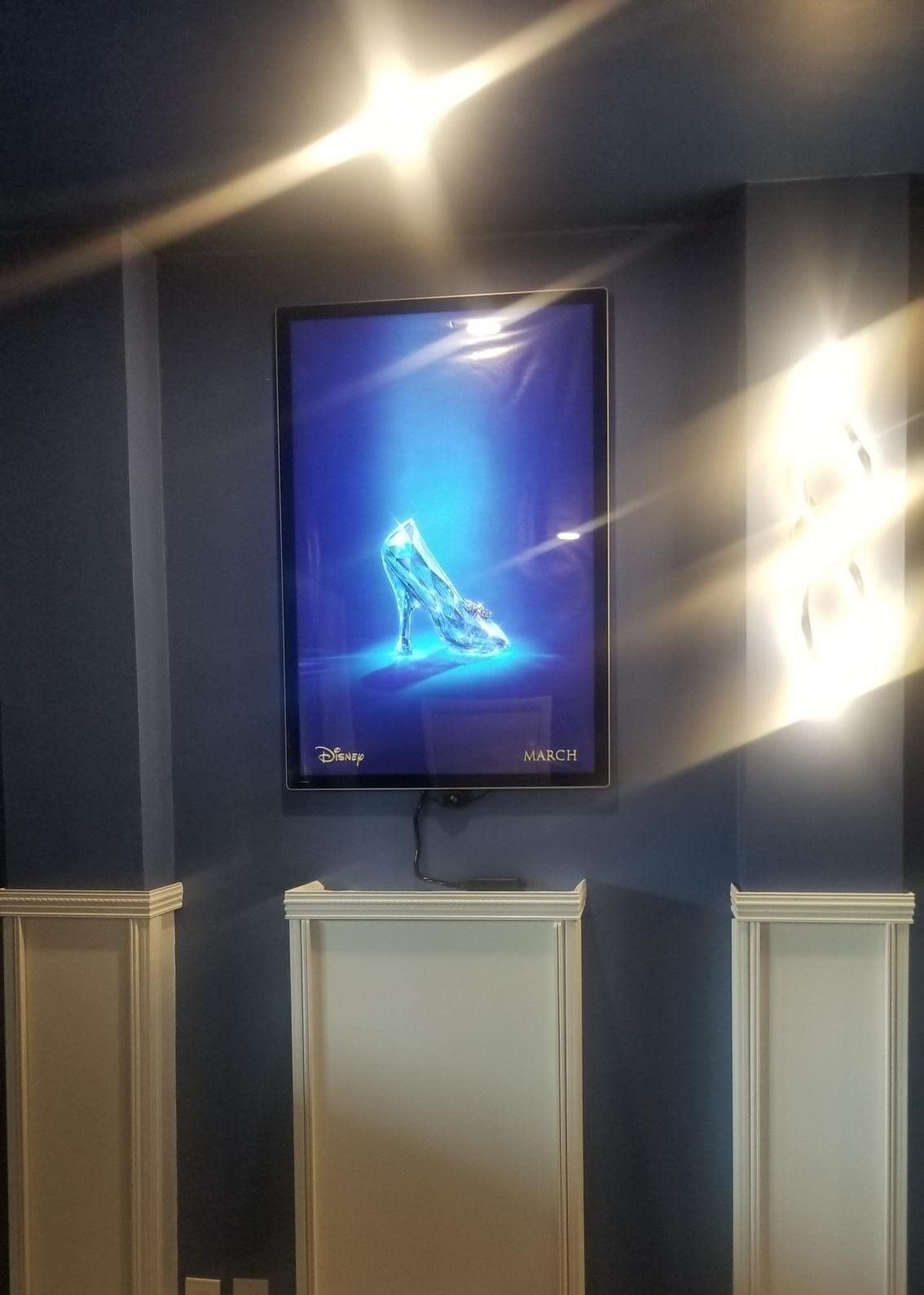 E-Hangsam 24x36 Inch LED Light Box Movie Frame with Dimmer On/Off Switch - Wall-Mounted Light Box Sign for Displaying LED Posters and Picture Frames customer photo 1
