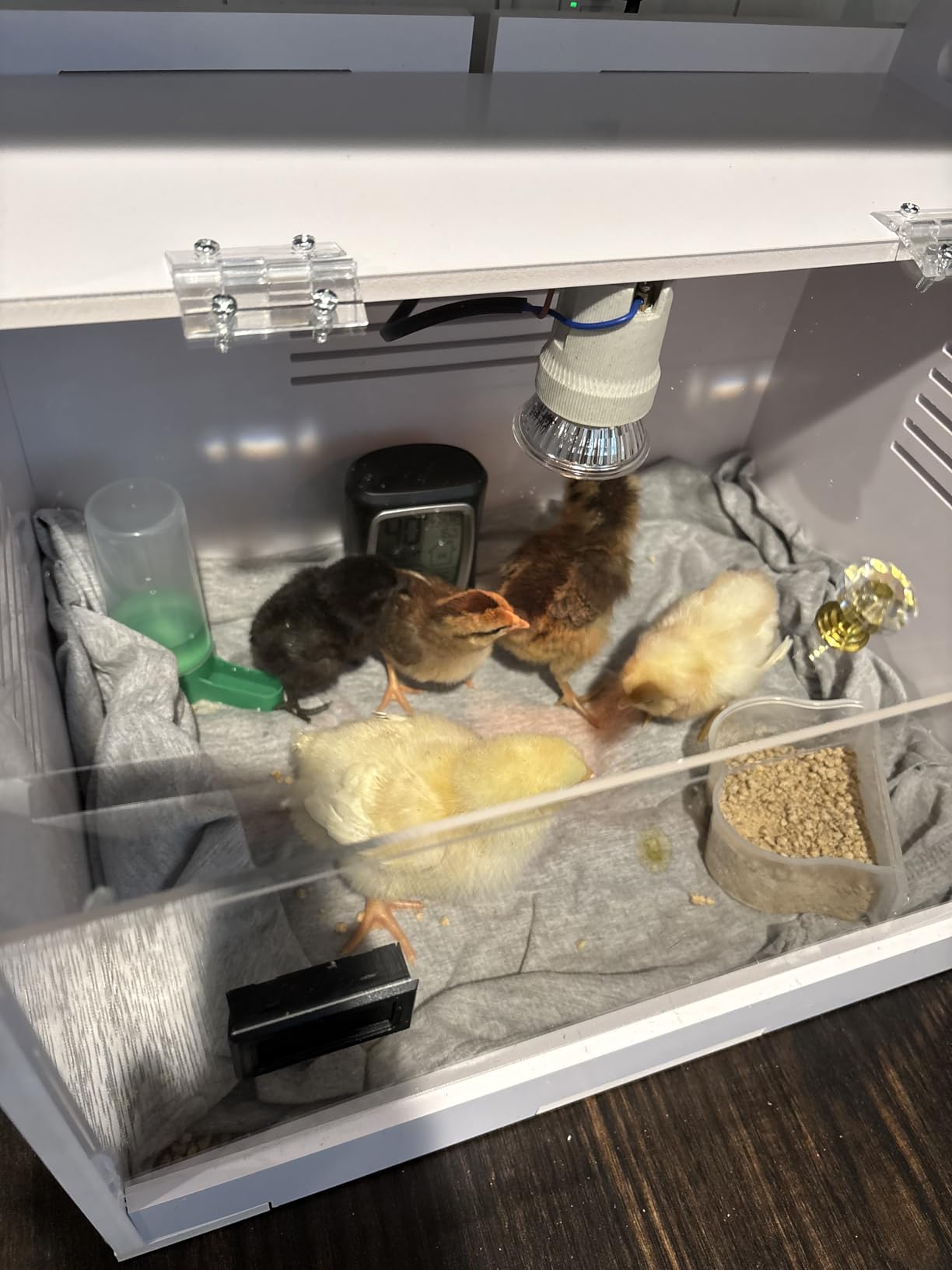 Intelligent Brooder Box 10-15 Newborns Chicks Quail Birds Small Animals Manual Incubators Poultry Heater Breeding Box customer photo 2
