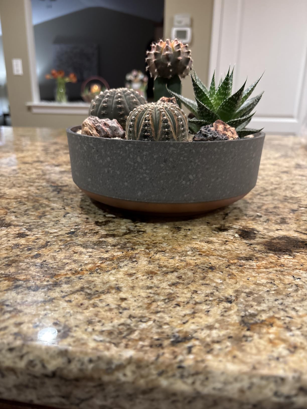 The HC Companies 8 Inch Round Plastic Succulent Capri Bowl 8