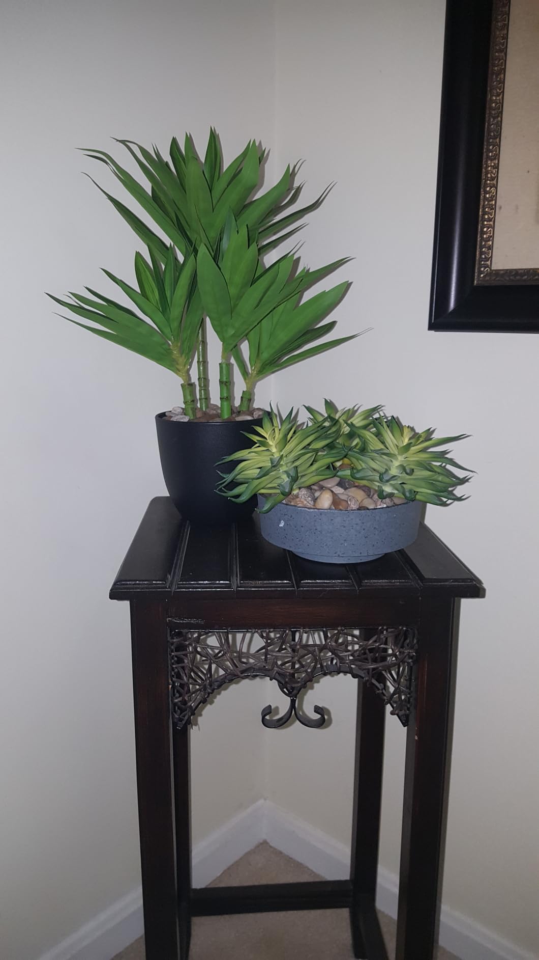 The HC Companies 8 Inch Round Plastic Succulent Capri Bowl 8