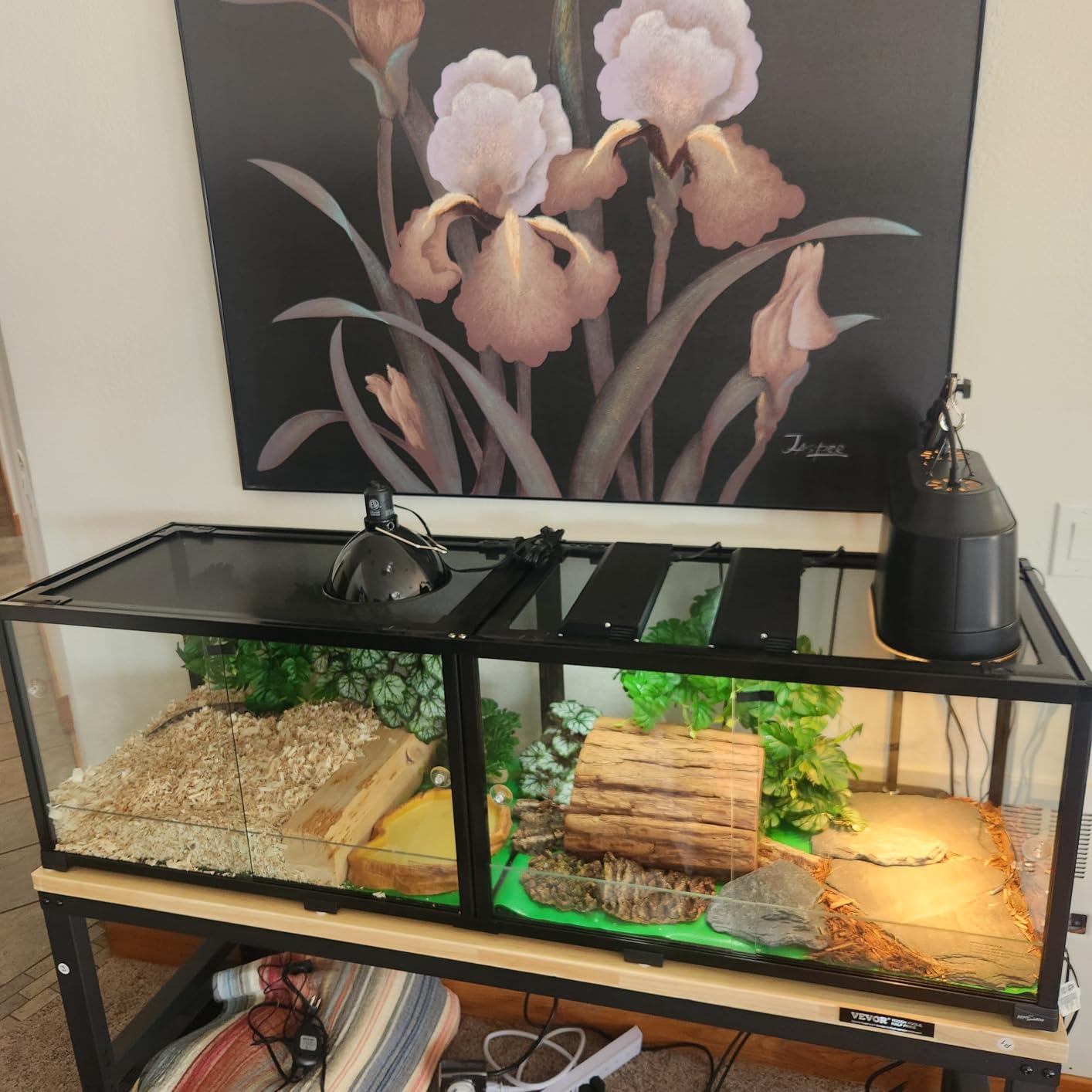 REPTIZOO 15 Gallon Full Glass Reptile Terrarium 12 inch x 12 inch x 24 inch Knock-Down Glass Tank and Siphon Gravel Cleaner Set, Small Habitat for Reptile Chameleon, Tree Frogs, Arboreal Geckos, Lizard customer photo 2