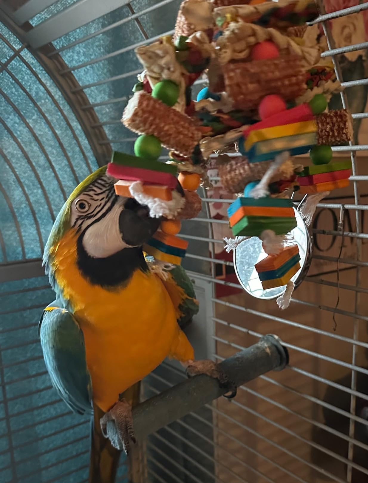 Bird Toys, Parrot Toys, Bird Toys Made of Natural Multi-Colored Wooden Blocks for African Grey Parrots, Amazon Parrots, Small and Medium-Sized Birds to Exercise Beak Strength customer photo 1