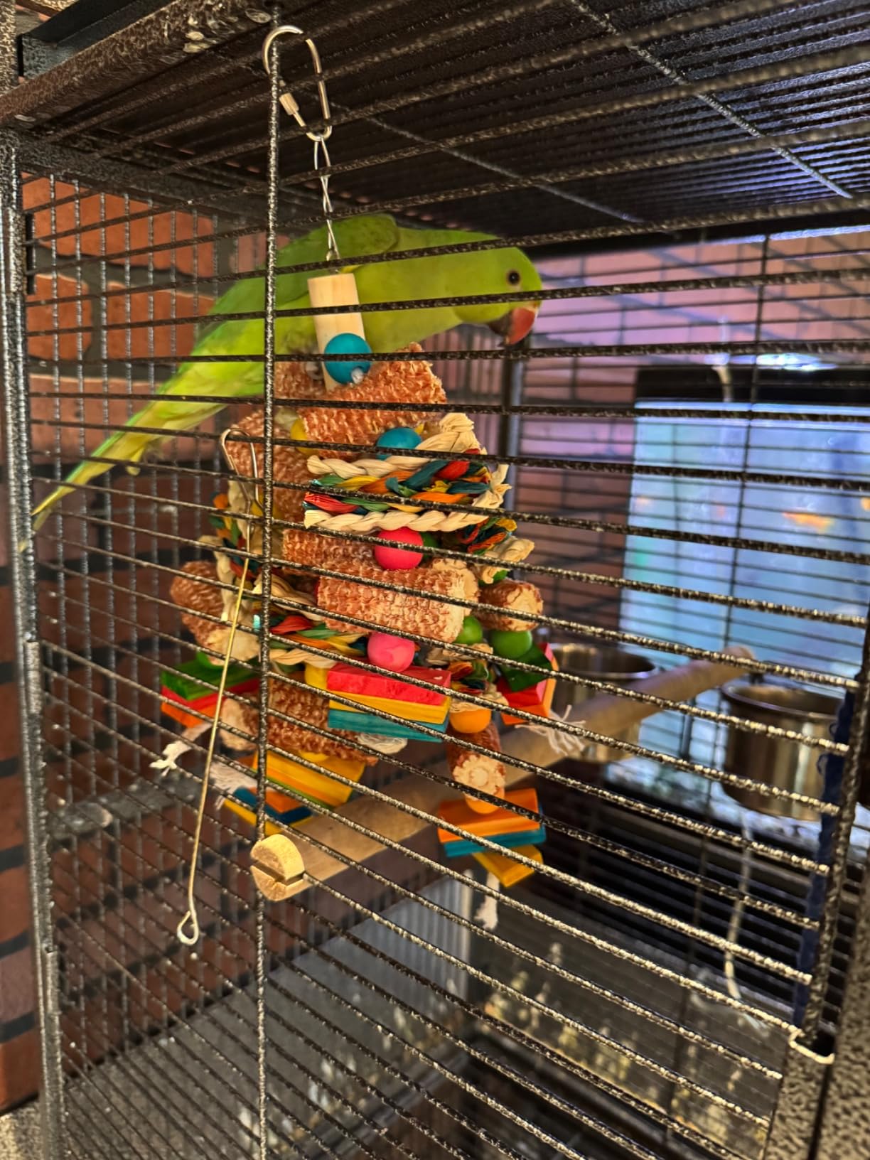 Bird Toys, Parrot Toys, Bird Toys Made of Natural Multi-Colored Wooden Blocks for African Grey Parrots, Amazon Parrots, Small and Medium-Sized Birds to Exercise Beak Strength customer photo 2