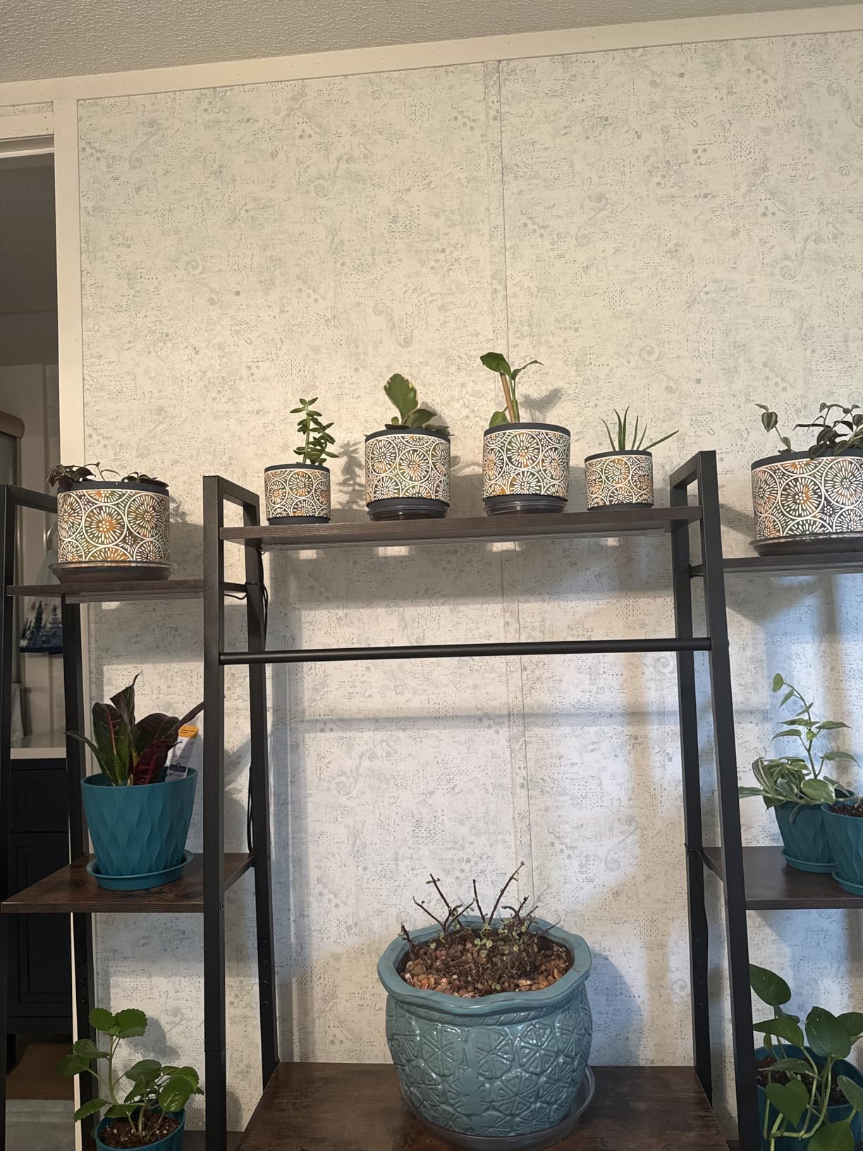 DeeCoo 3 Piece Ceramic Plant Pots Indoor Pots Set with Drainage Holes, 5.7/4.7/3.5/inch, Modern Decorative pots Outdoor Plants Lilies, Cacti, Succulents, Snakes, and Bamboo (Blue) customer photo 1