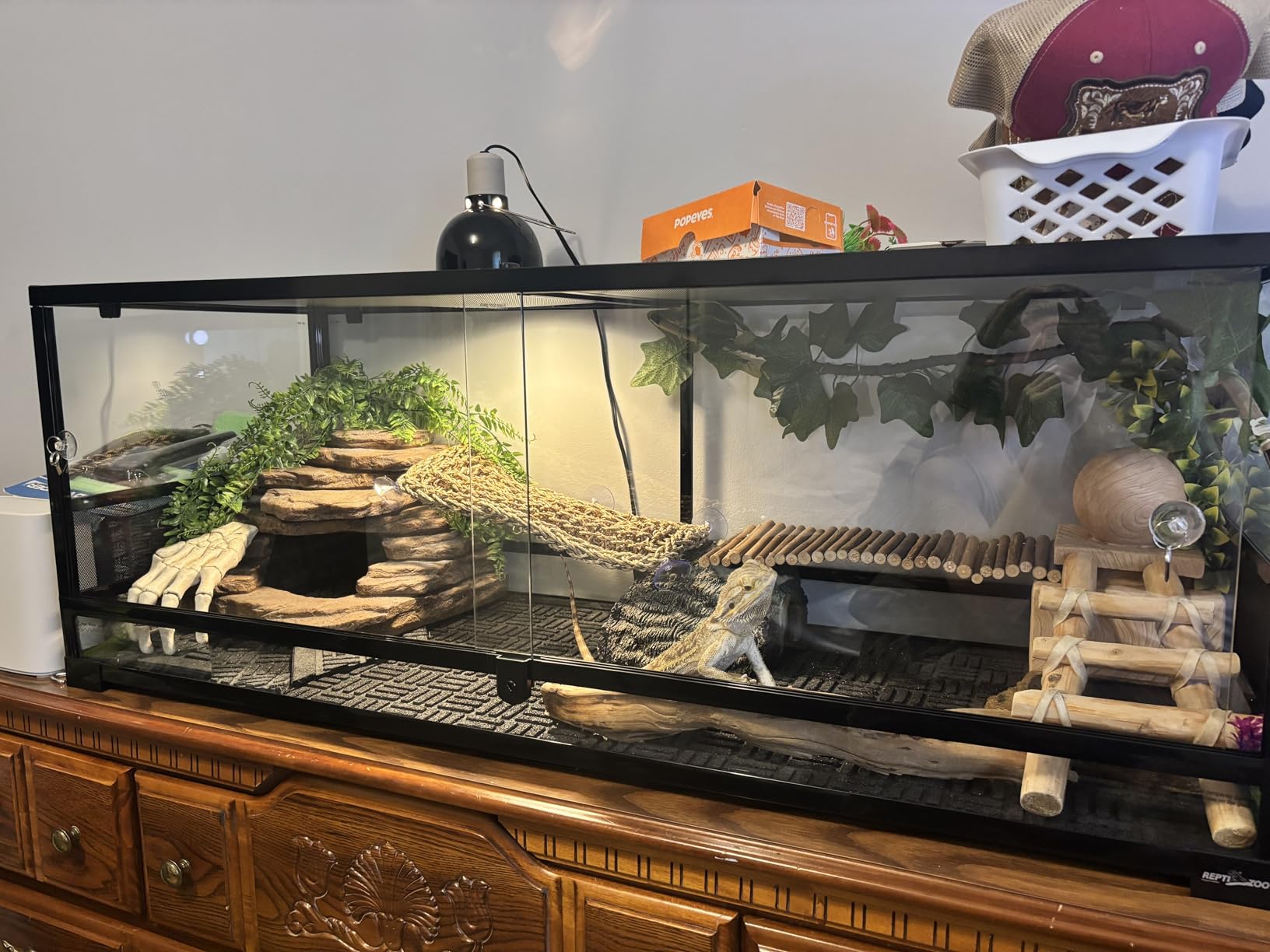 REPTI ZOO Large Reptile Paludarium Tank, Vertical Reptile Terrarium Wide & Tall Amphibian Tank with Top Screen Ventilation (36