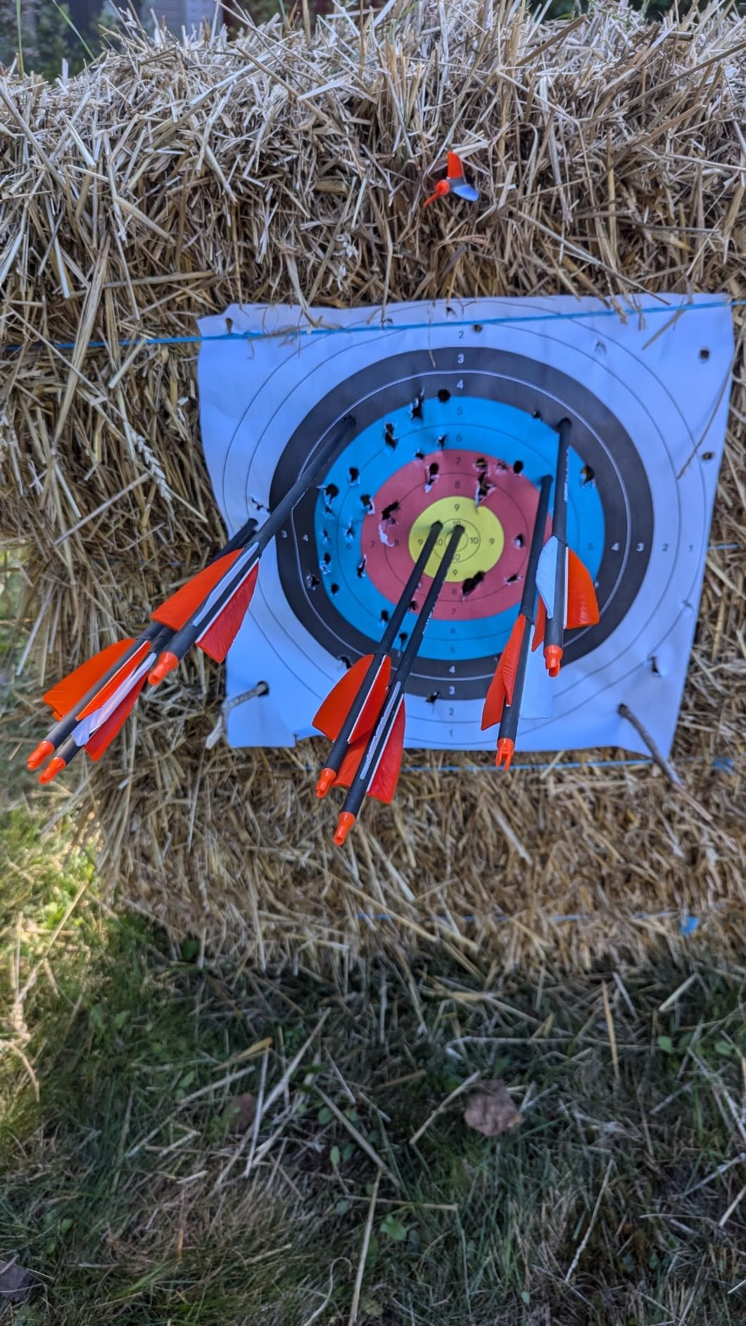 ZSHJGJR 30 Inch Archery Carbon Arrows Hunting Arrows with 4