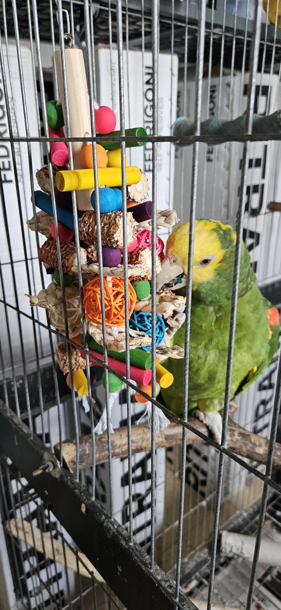 Bird Toys, Parrot Toys for Large Birds, Natural Peppered Wood African Grey Parrots, Macaws, Cockatoos, Amazon Parrot chew Toys, Aviary Hanging Toys customer photo 1