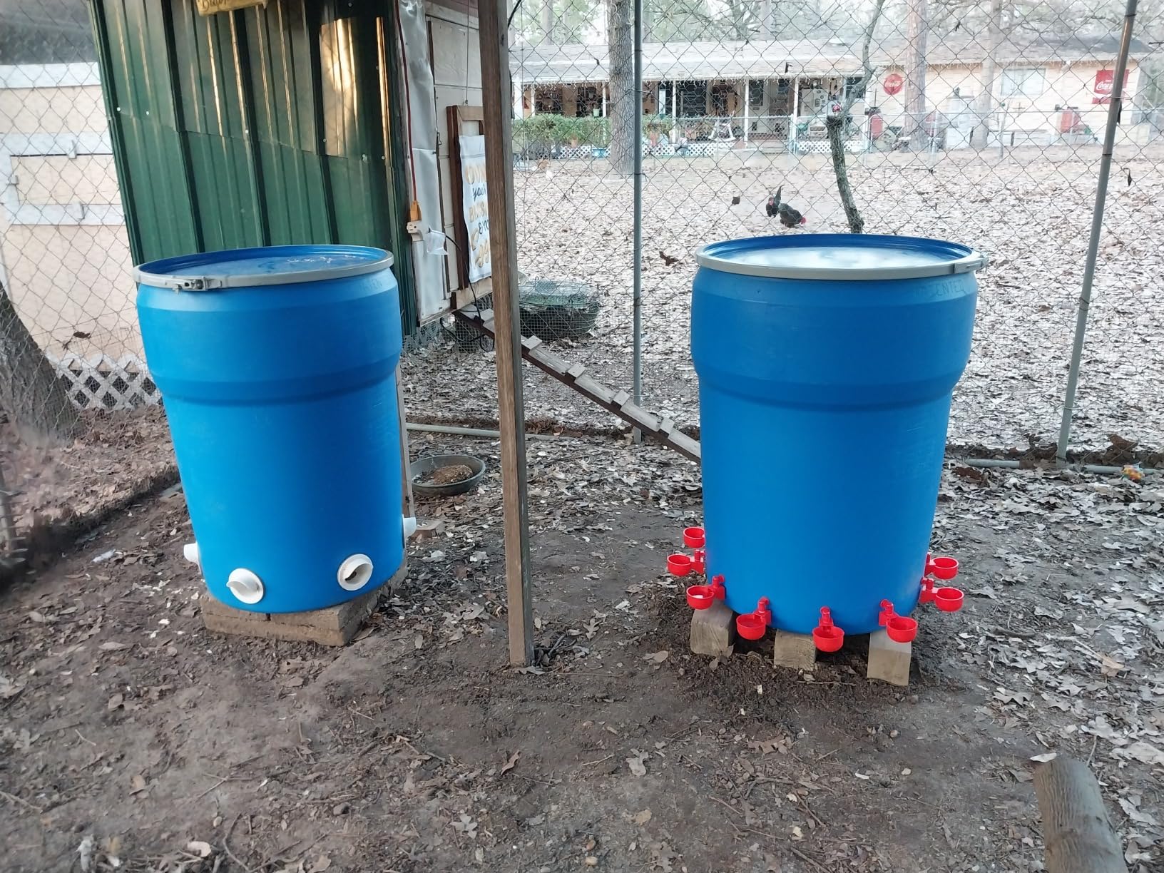 Chicken Feeder Waterproof and Chicken Waterer Cup, 6pcs No Waste Chicken Feeder for Buckets,Barrels,Bins, and 6pcs Chicken Water Cups for Chickens, Birds, Turkeys etc customer photo 1
