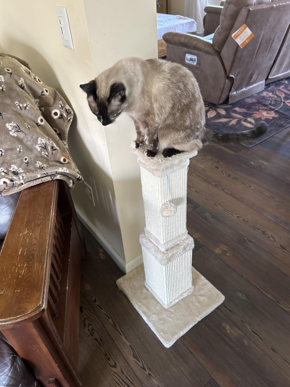 AGYM Cat Scratching Post for Large Cats, Cat Scratcher for Indoor Cats Adults, Sturdy Sisal Scratch Post to Protect Furniture, 32 Inch, Beige customer photo 1