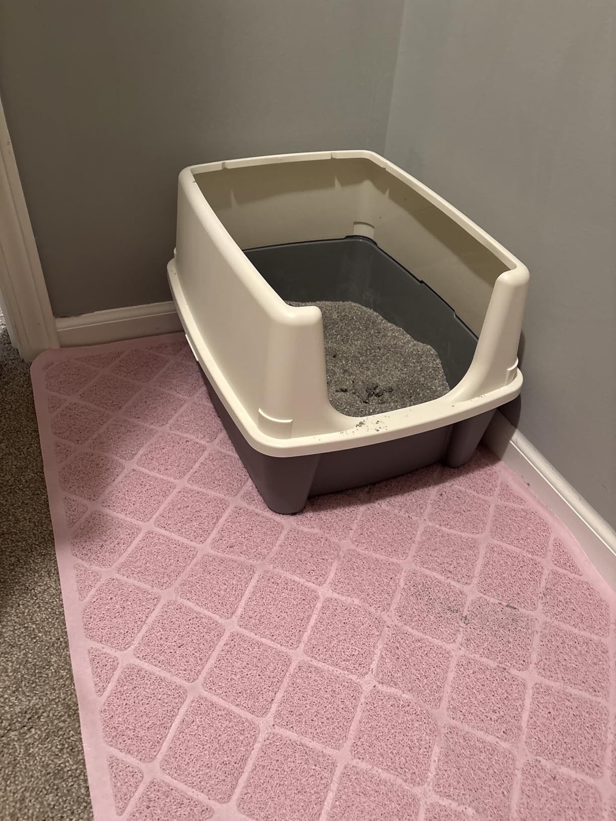 Amazon Basics Large Cat Litter Box with High Sides, Top Entry, Odor Control, Includes Scoop, 20.5 x 14.75 x 14.38 inches, Grey customer photo 1