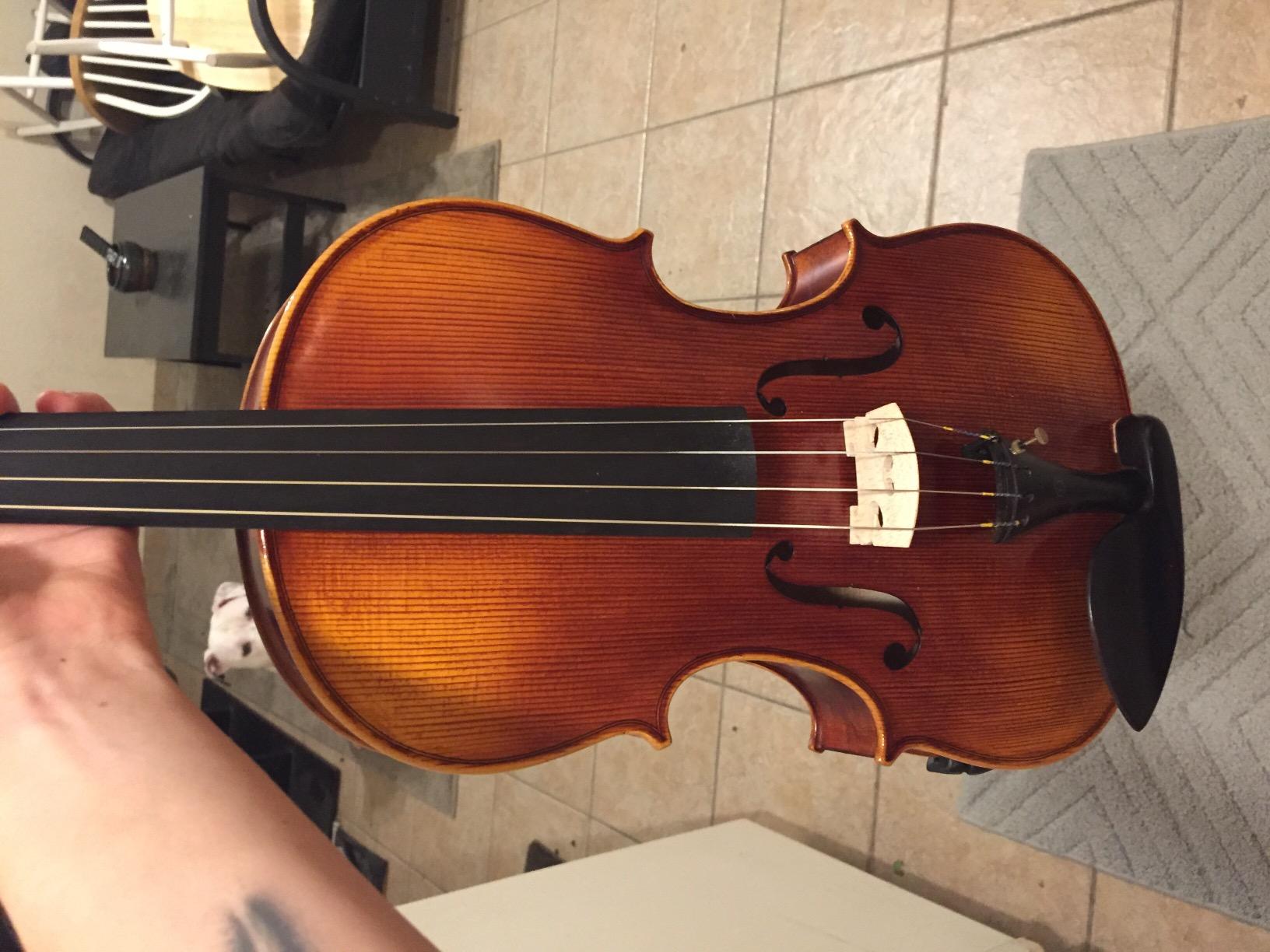 SKY High Quality Acoustic Viola Deep Warm Tone (15.5, Reddish Two-Piece Back) customer photo 1