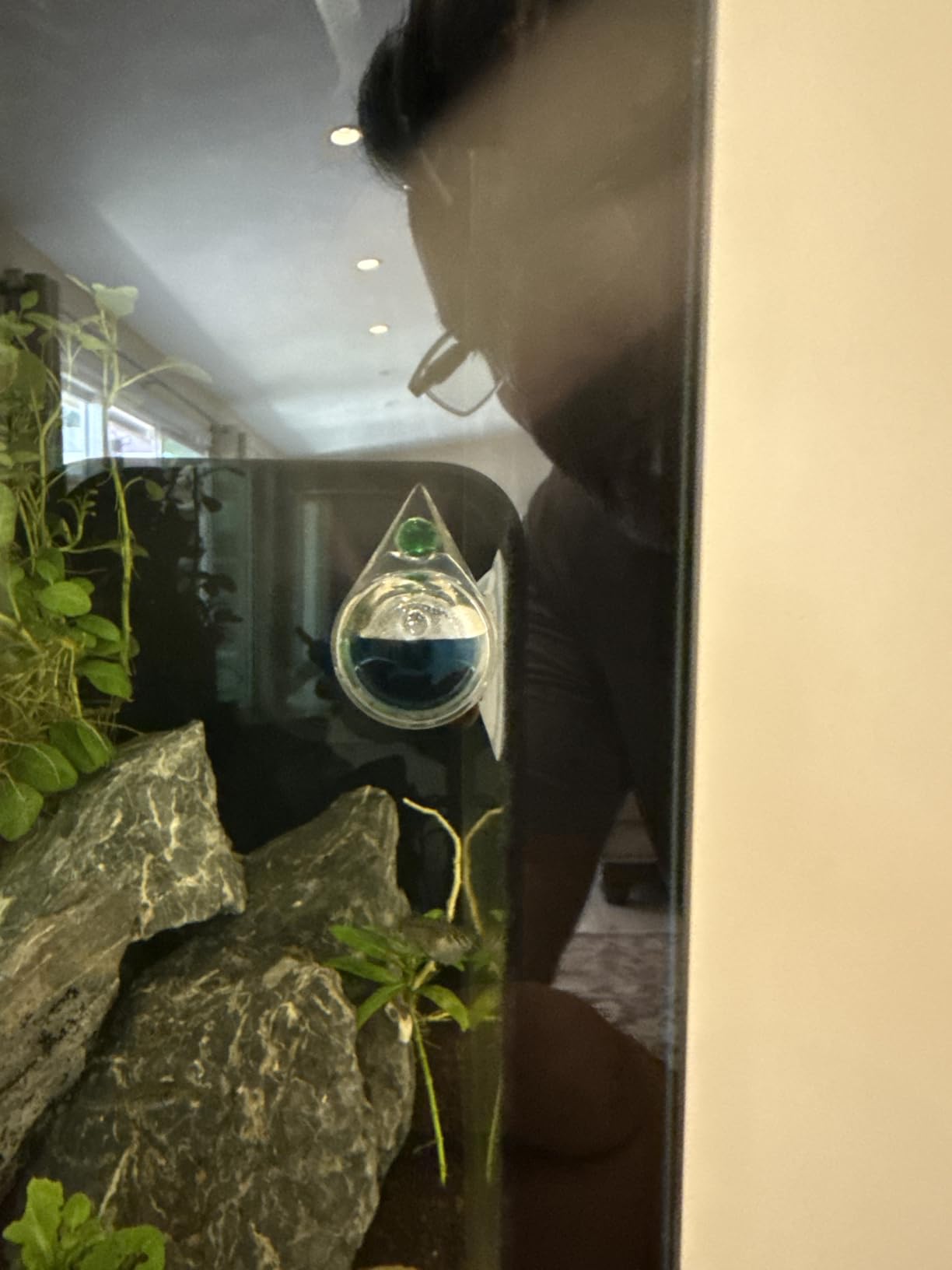 Aquatic CO2 Drop Checker Detachable Tear Drop Shape Without Solution, Upgraded Version customer photo 2