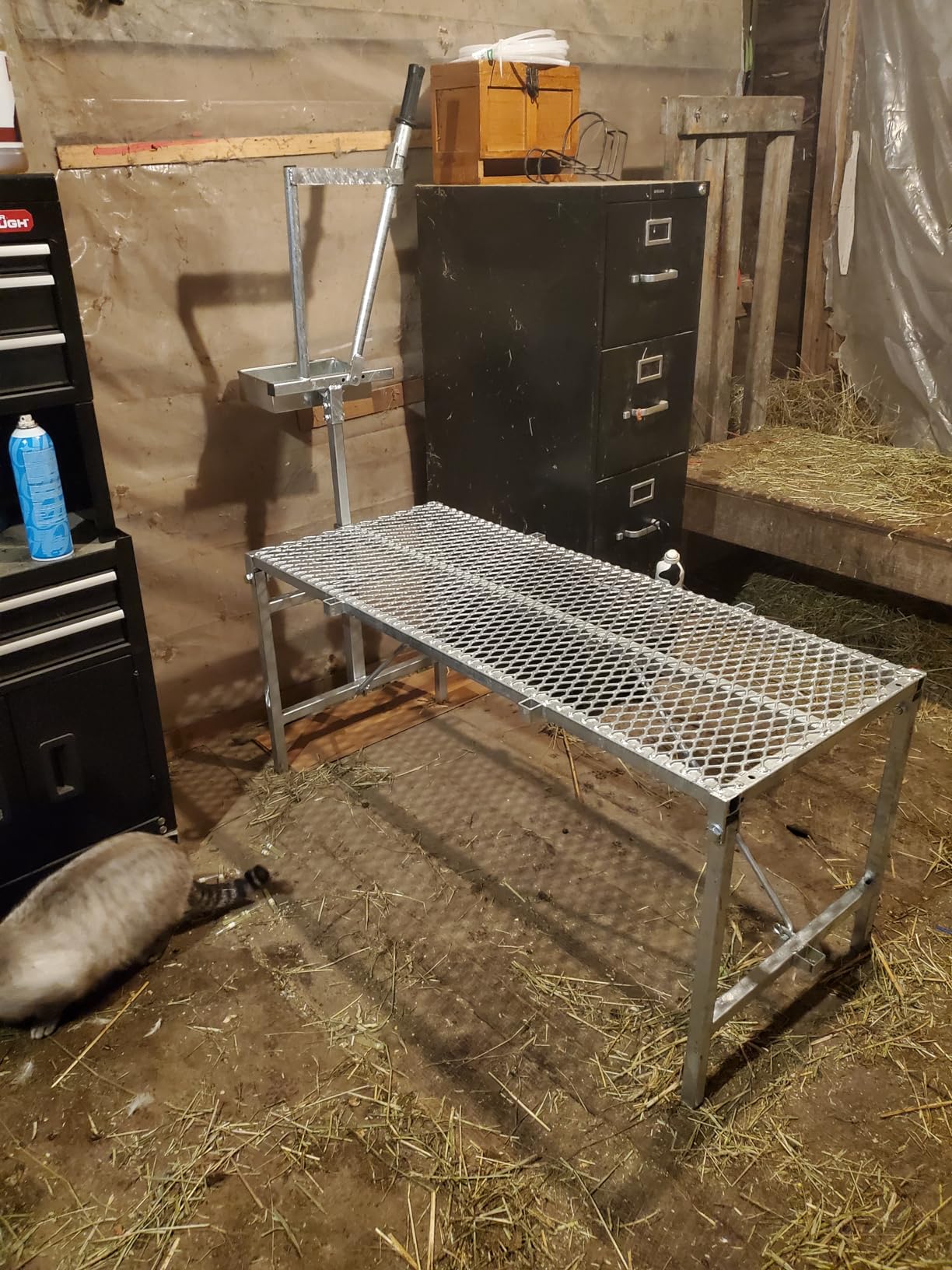 Premier 1 Galvanized Steel Milking Stand (20