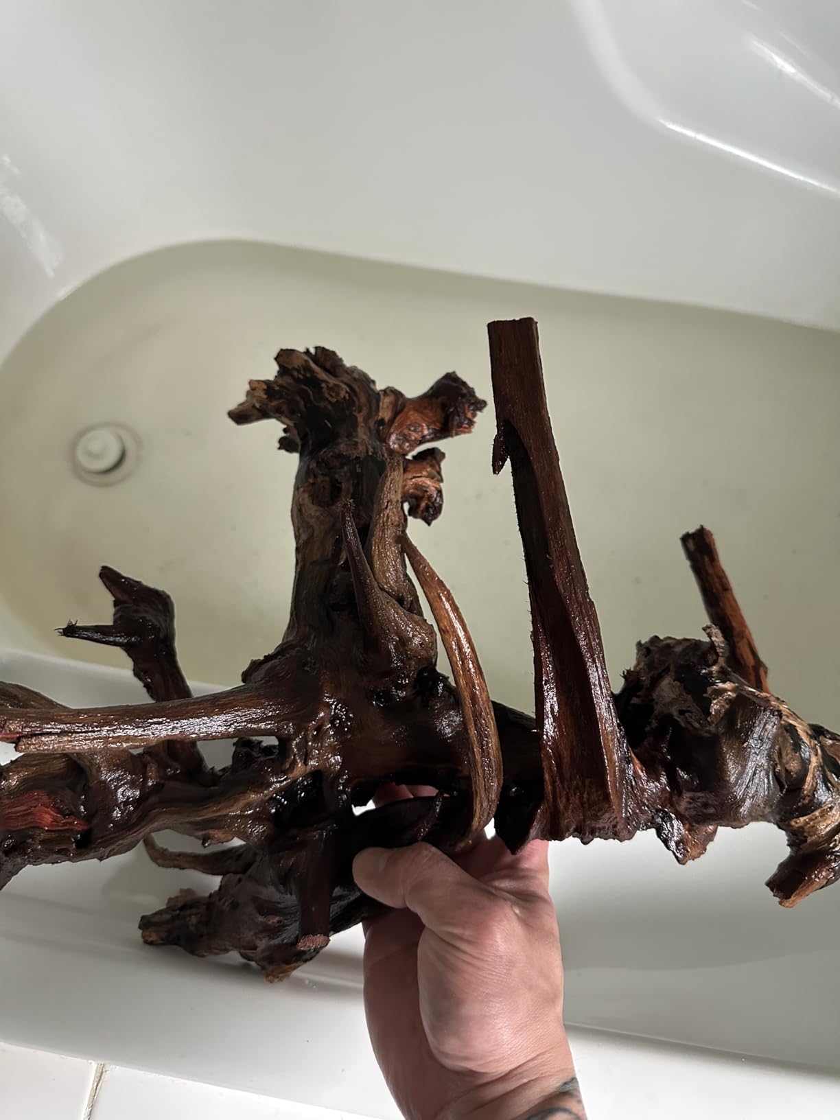 Jorewood Natural Aquarium Driftwood for Fish Tanks & Reptile Terrariums - Safe Fish Tank Decorations, Unique Twisted Branches 3-Piece 7-11 Inch Low Tannin, Easy to Sink customer photo 2