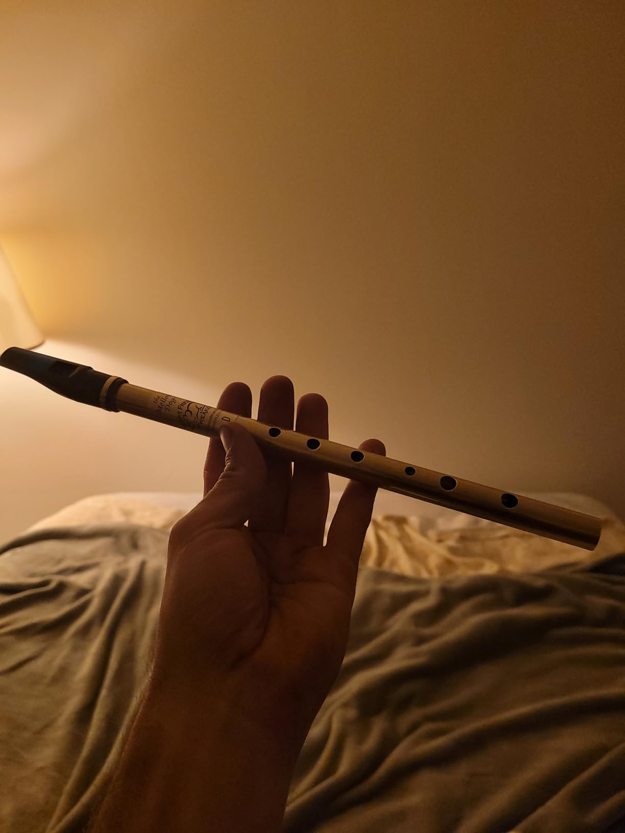 Jerry Freeman Tweaked Key of D Mellow Dog Tin Penny Whistle - Professional Quality for Beginners & Advanced customer photo 1