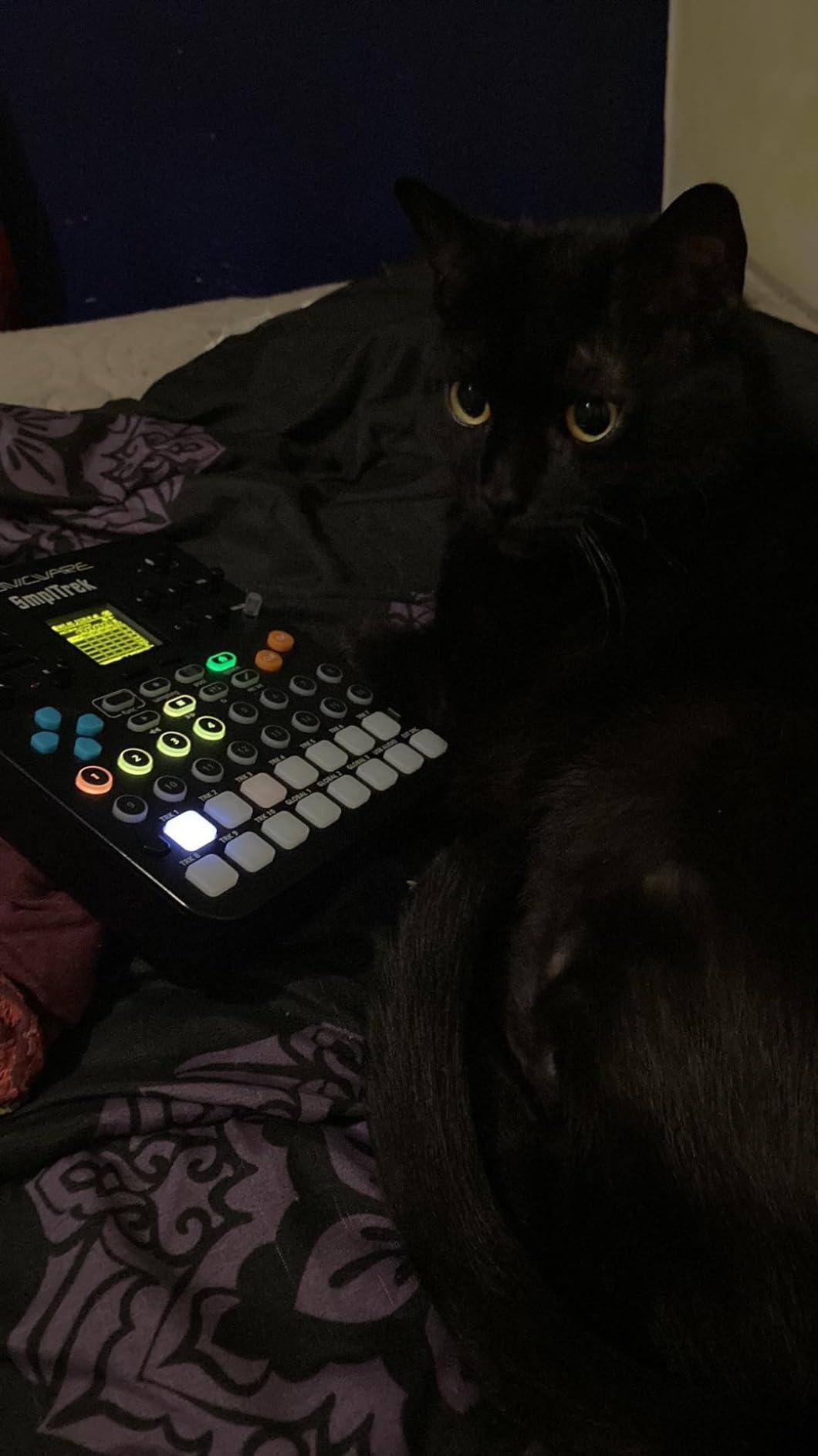 Sonicware SmplTrek [Portable Production Sampler] customer photo 1