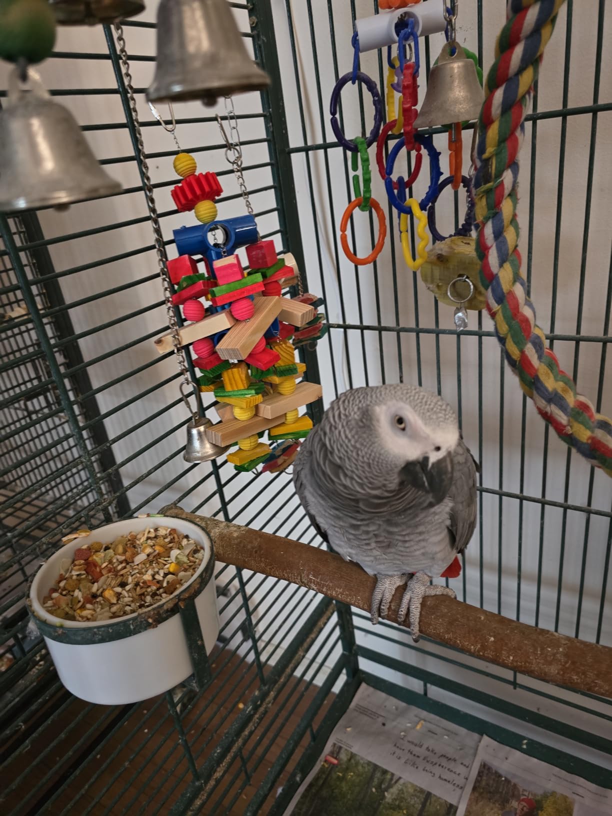 Parrot Toys for African Grey Parrots, Cockatoos, Small Macaws, Amazon Parrots Small and Medium Birds Natural Wooden Safe and Durable Chew Toys and Bird Cage Accessories customer photo 2