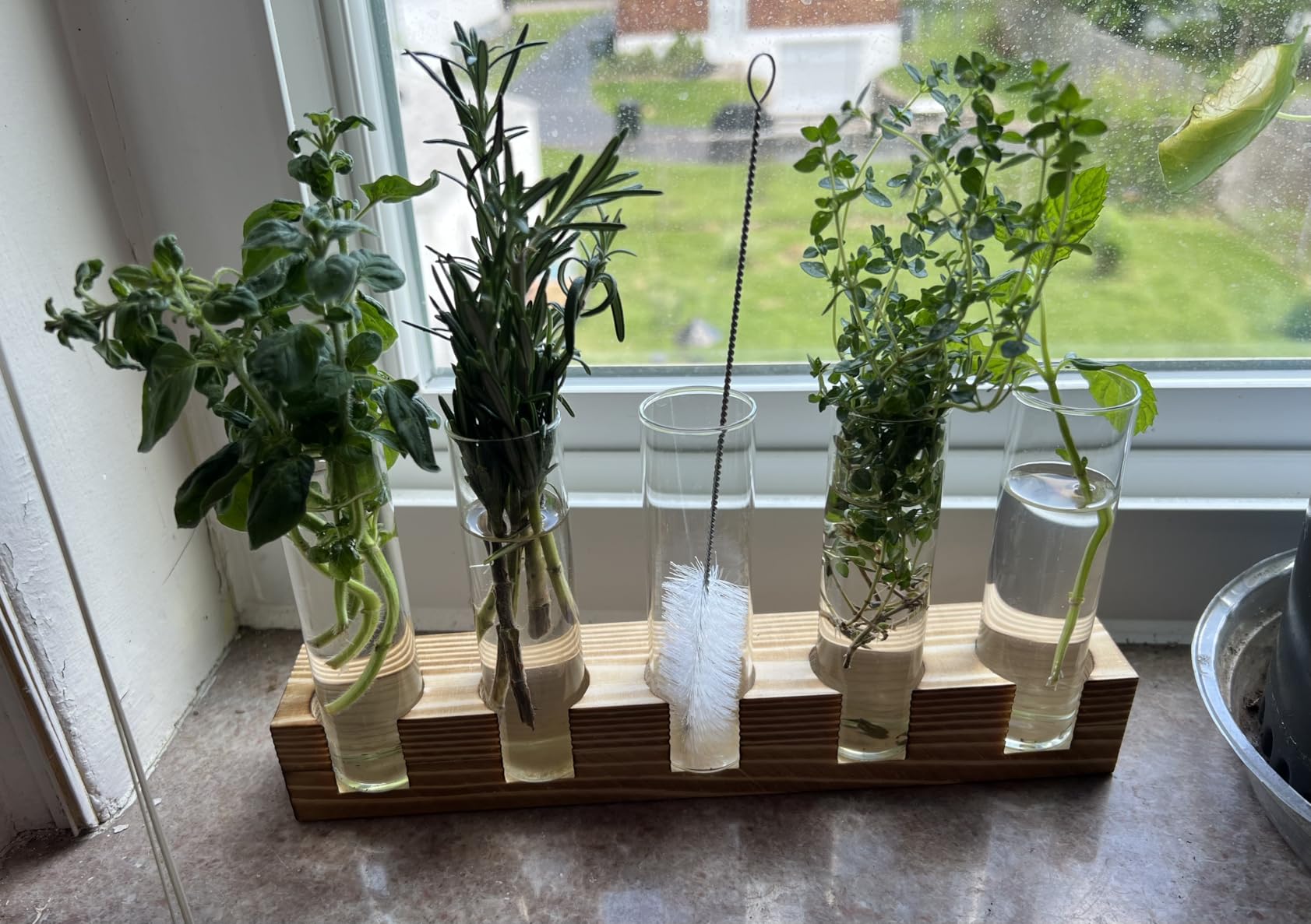 Renmxj Plant Propagation Station, Plant Terrarium with Wooden Stand, Plants Pots for Hydroponics, Small Birthday Gardening Gifts for Women Mom Plants Lovers Unique - 5 Glass Test Tubes Vases customer photo 2