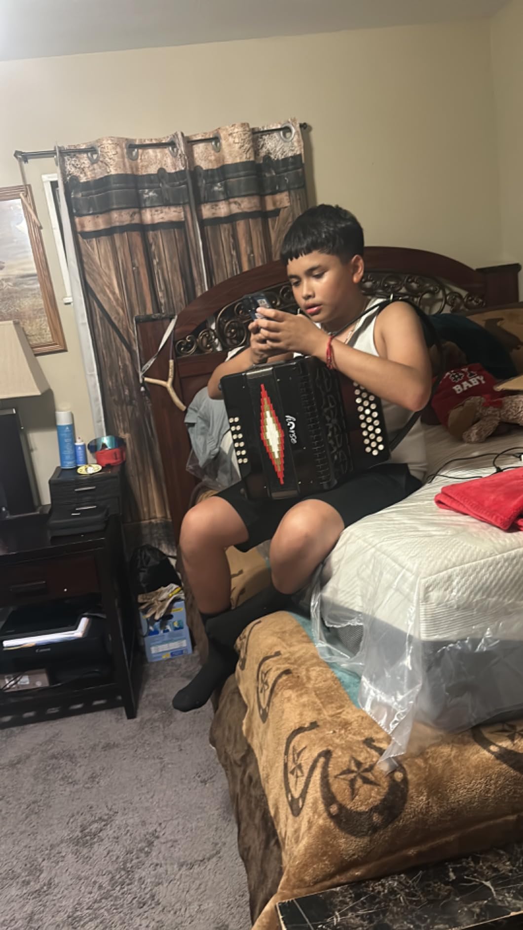 Horse 31 Key Accordion, 12 Bass 3-Row F/B/E Diatonic with Case and Accessories customer photo 1