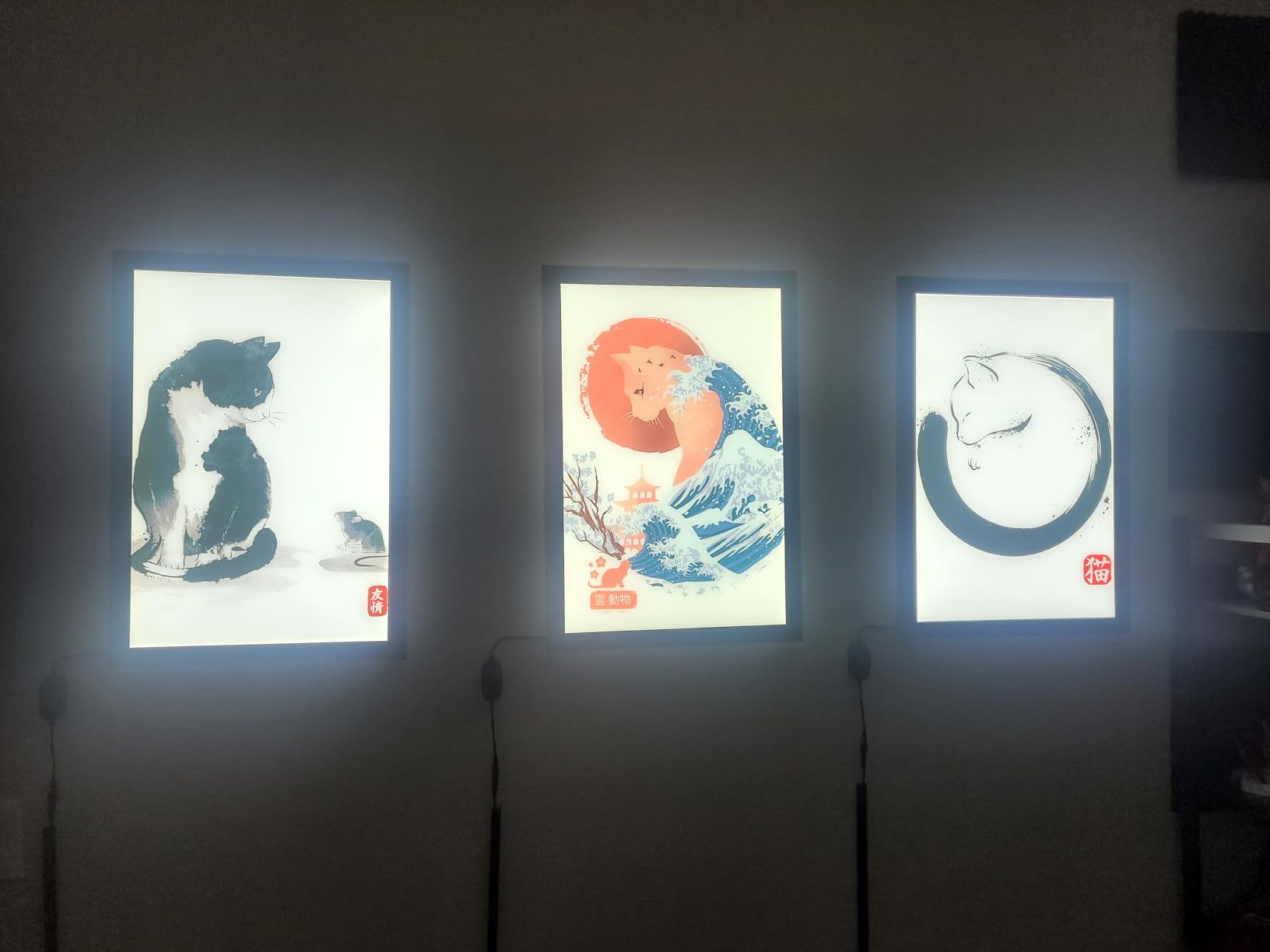 Spolehli Led Poster Frame with Adjustable Brightness, Wall Mounted 16