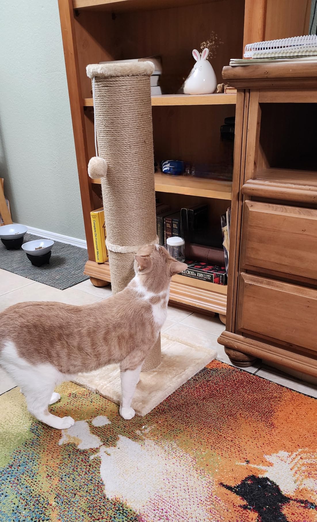 PAWSCRAT Cat Scratching Post 32 Inch High, 5.5 Inch Large Diameter Natural Sisal Cat Scratch Post, Scratch-Resistant and Durable Tall Cat Scratcher for Indoor Cats, Protect Your Furniture, Beige customer photo 2