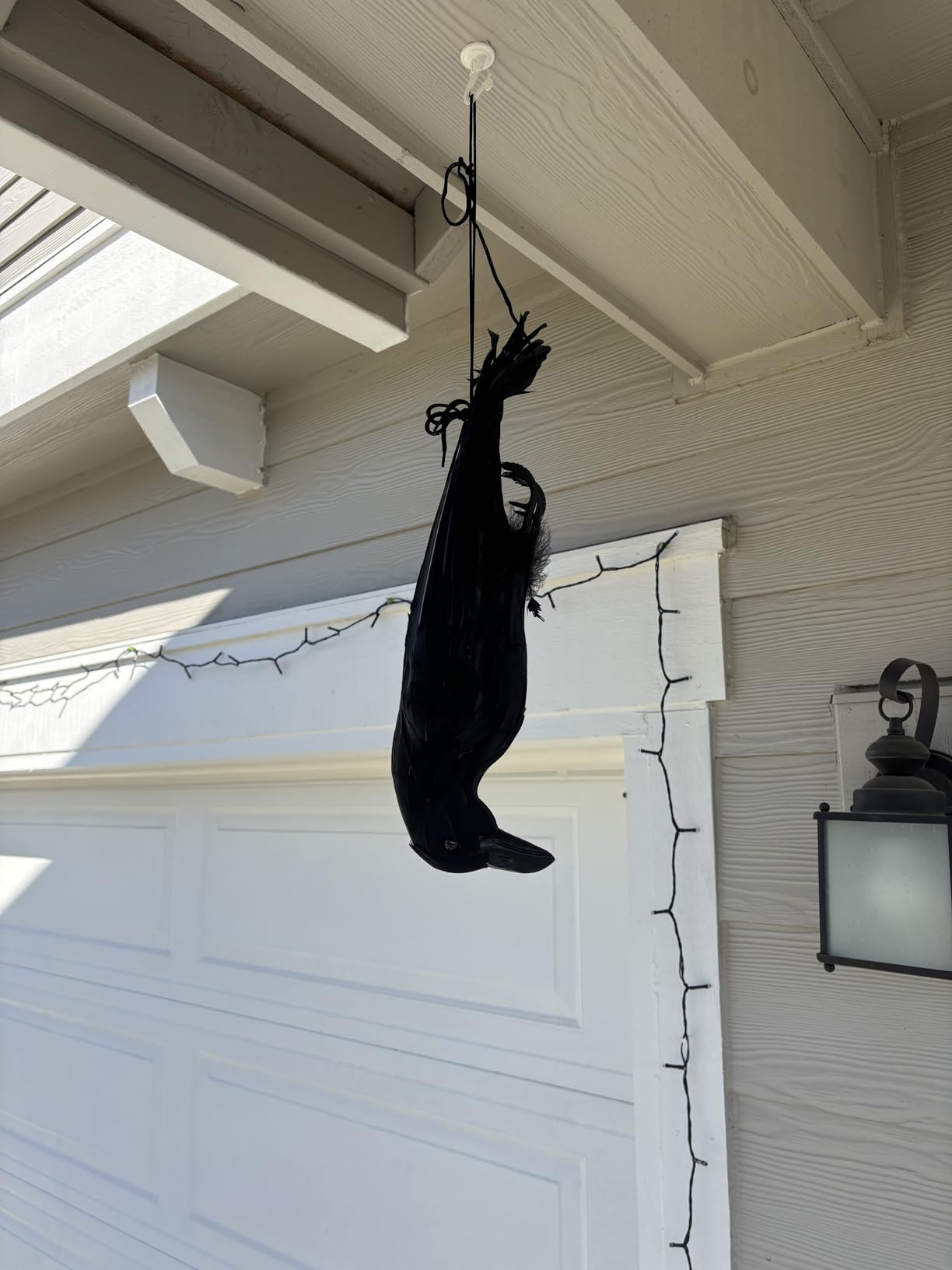 Noamus 17 Inches Realistic Hanging Dead Crow, Lifesize Extra Large Black Feathered Crow, Fake Decoy Raven for Garden Halloween Decorations Birds, Artificial Handmade, Model, Party Props customer photo 2