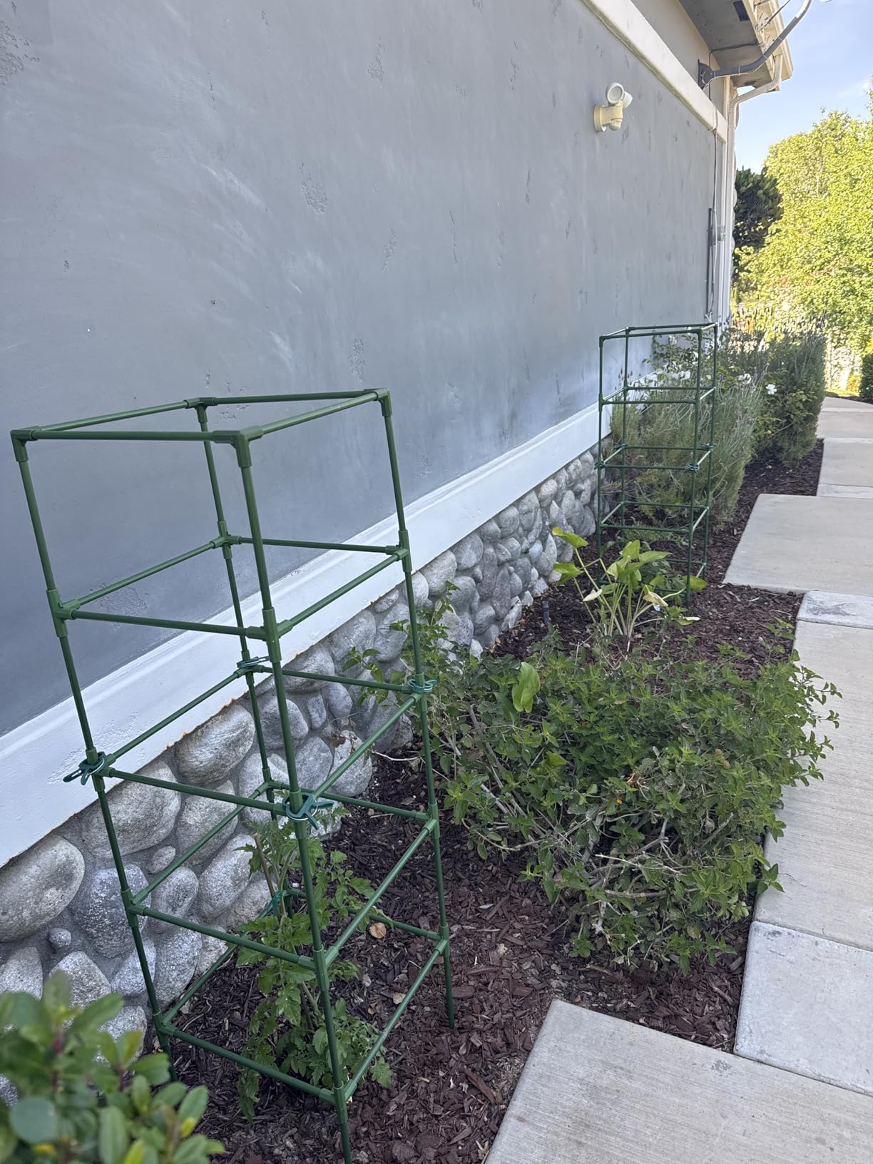 MYMULIKE 3 Pack Tomato Cages for Garden - Heavy Duty Square Tomato Plant Support Stakes, Height-Adjustable Tomato Trellis, Tomato Plant Cage for Raised Beds/Pots (Holds 50 Lbs) customer photo 1