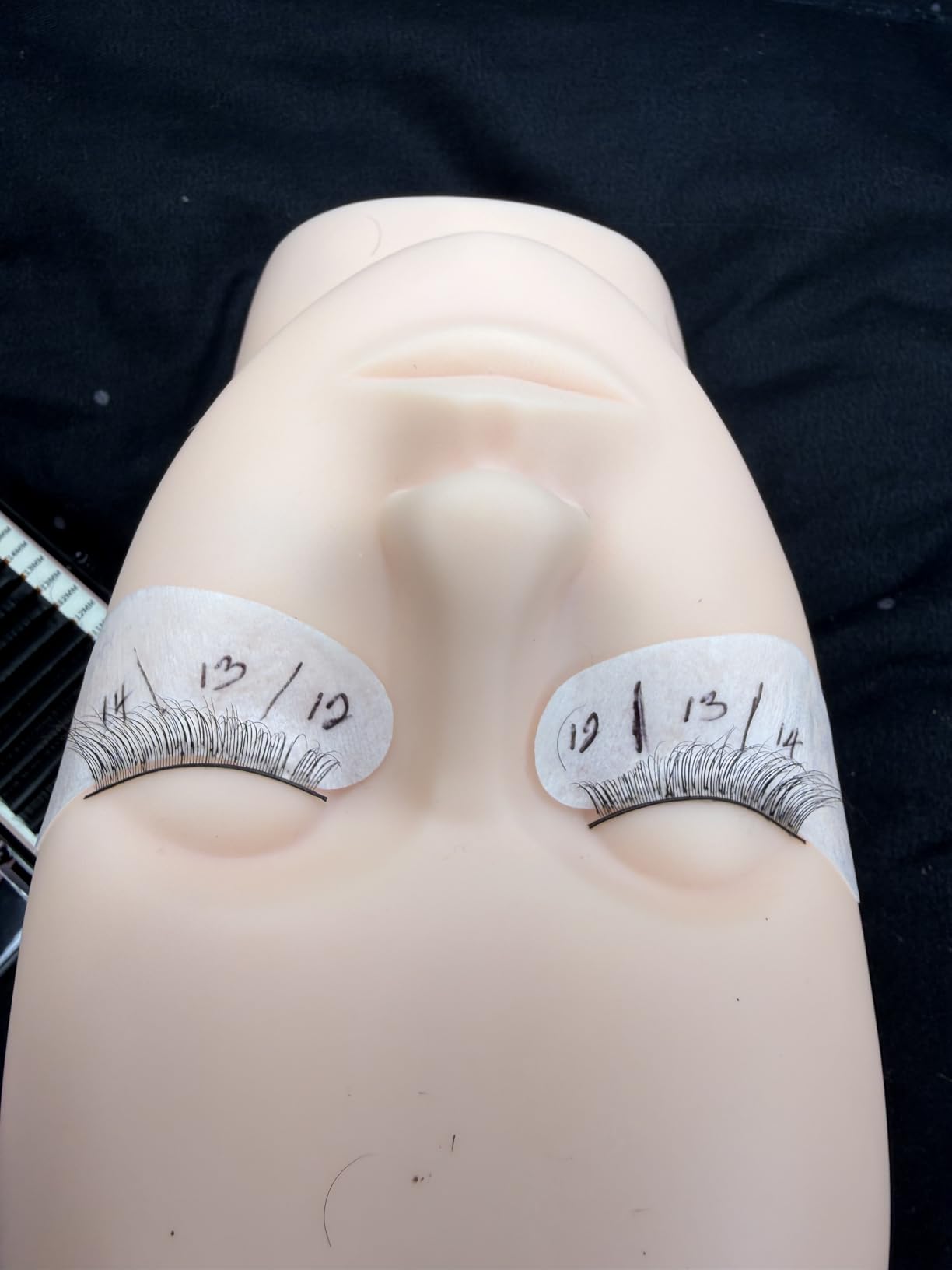 Eyelash Extension Kit for Beginners, Professional Lash Extension Kit with Mannequin Head, Lash Starter Kit with Lash Fan, Lash Extension Supplies for Practice Training Kit customer photo 2