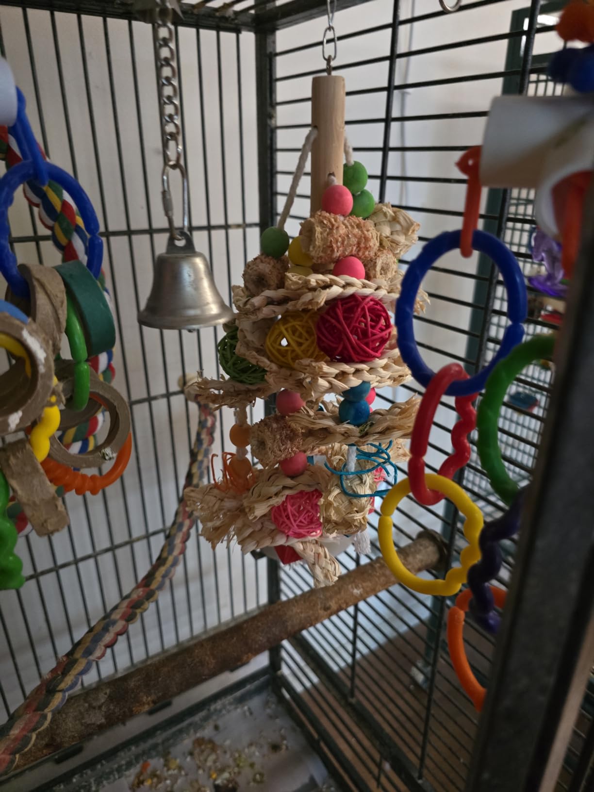 lovyoCoCo Parrot Toys Bird Toys Natural Corn Cob Bird chew Toys for Small and Medium-Sized Macaws,African Grey,Cockatoos,Amazon Parrots,Parakeet,Cockatiel,Sun Conure, Lovebird with Wooden Blocks customer photo 1