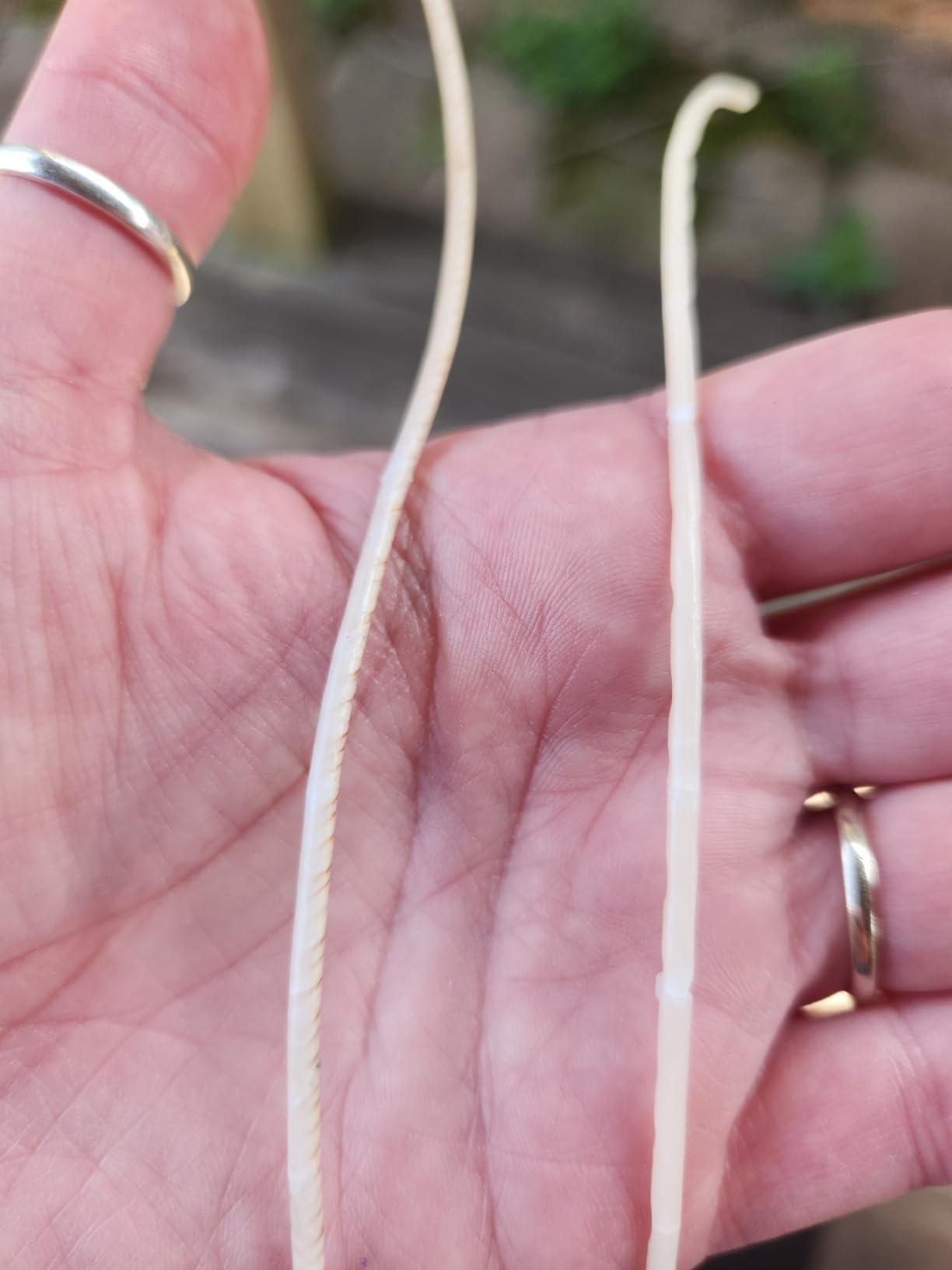 HTP-104 Candle Making Wicks, Pre-Tabbed, Rigid, Self-Trimming Wicks for Candlemaking, Works with Paraffin, Gel & Vegetable Wax, 6