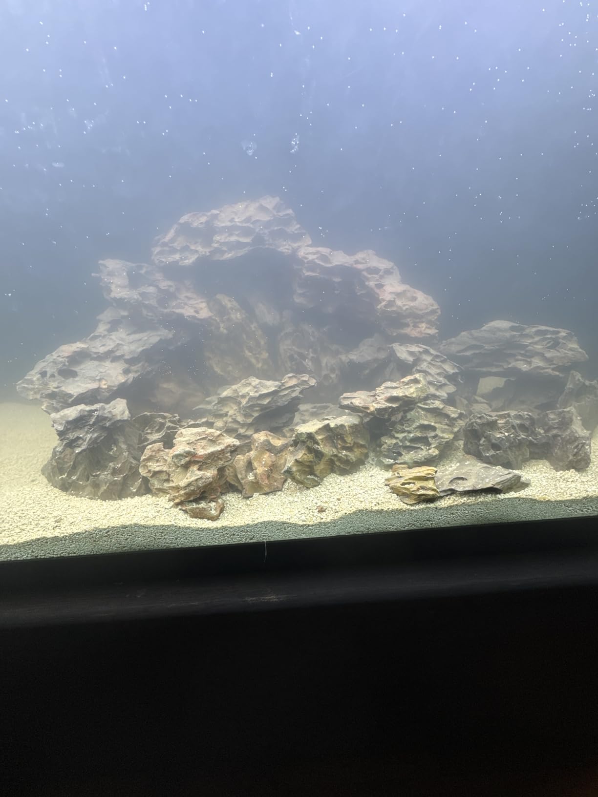 Aquarium Rocks 5lb Dragon Stone for Aquariums Aquascaping Landscaping Model Fish Tanks Terrariums Vivariums Decoration (2-4 Inches) customer photo 1