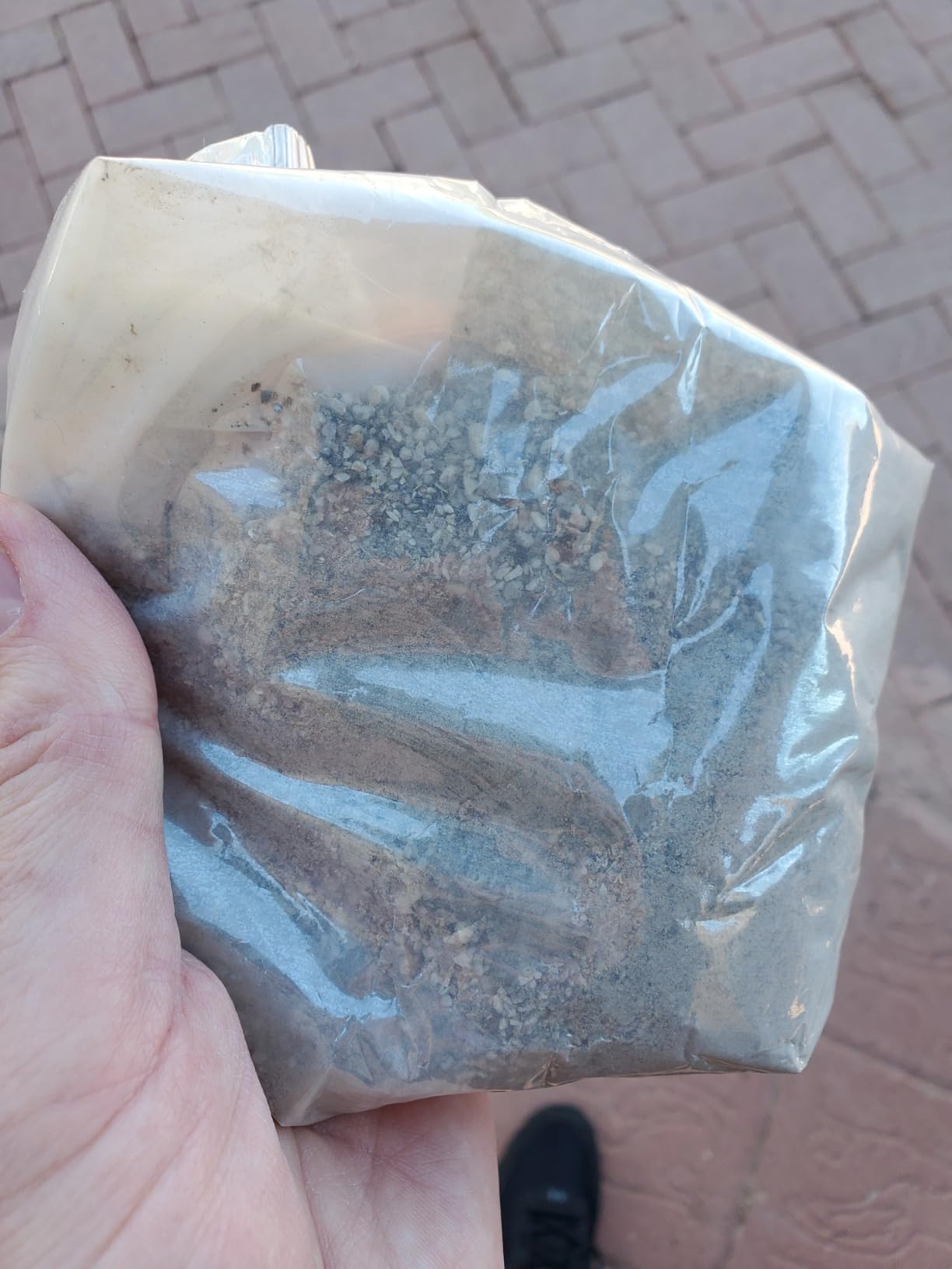 Down To Earth All Natural Fertilizers Organic Cactus & Succulent Mix - Plant Food for Cactuses, Agaves, Aloes, Jades, and Yuccas 2-4-8, 1 lb customer photo 2