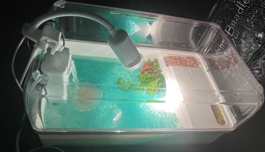 AZV Turtle Tank Starter Habitat Kit,Complete Aquatic Terrarium Enclosure with Filter,Basking Platform with Hideout,Multi-Function Area,Drainage,Plants and Lamps,Perfect for Red Eared Slider Aquarium customer photo 1