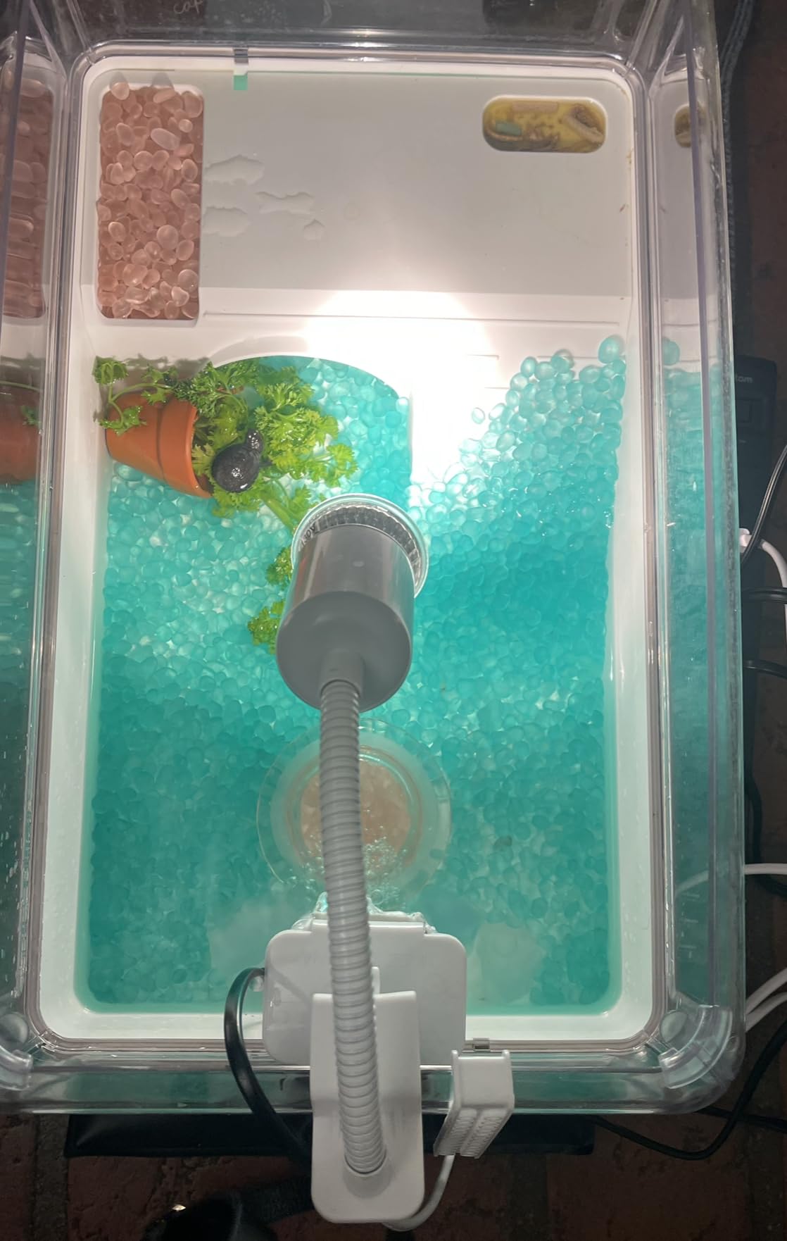 AZV Turtle Tank Starter Habitat Kit,Complete Aquatic Terrarium Enclosure with Filter,Basking Platform with Hideout,Multi-Function Area,Drainage,Plants and Lamps,Perfect for Red Eared Slider Aquarium customer photo 2