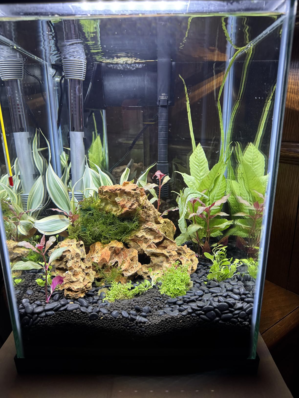 Unocho Aquarium Stone Rocks Dragon Stone 10lb Aquarium Decor Rocks Aquascaping Stone (2-6 inches) customer photo 2