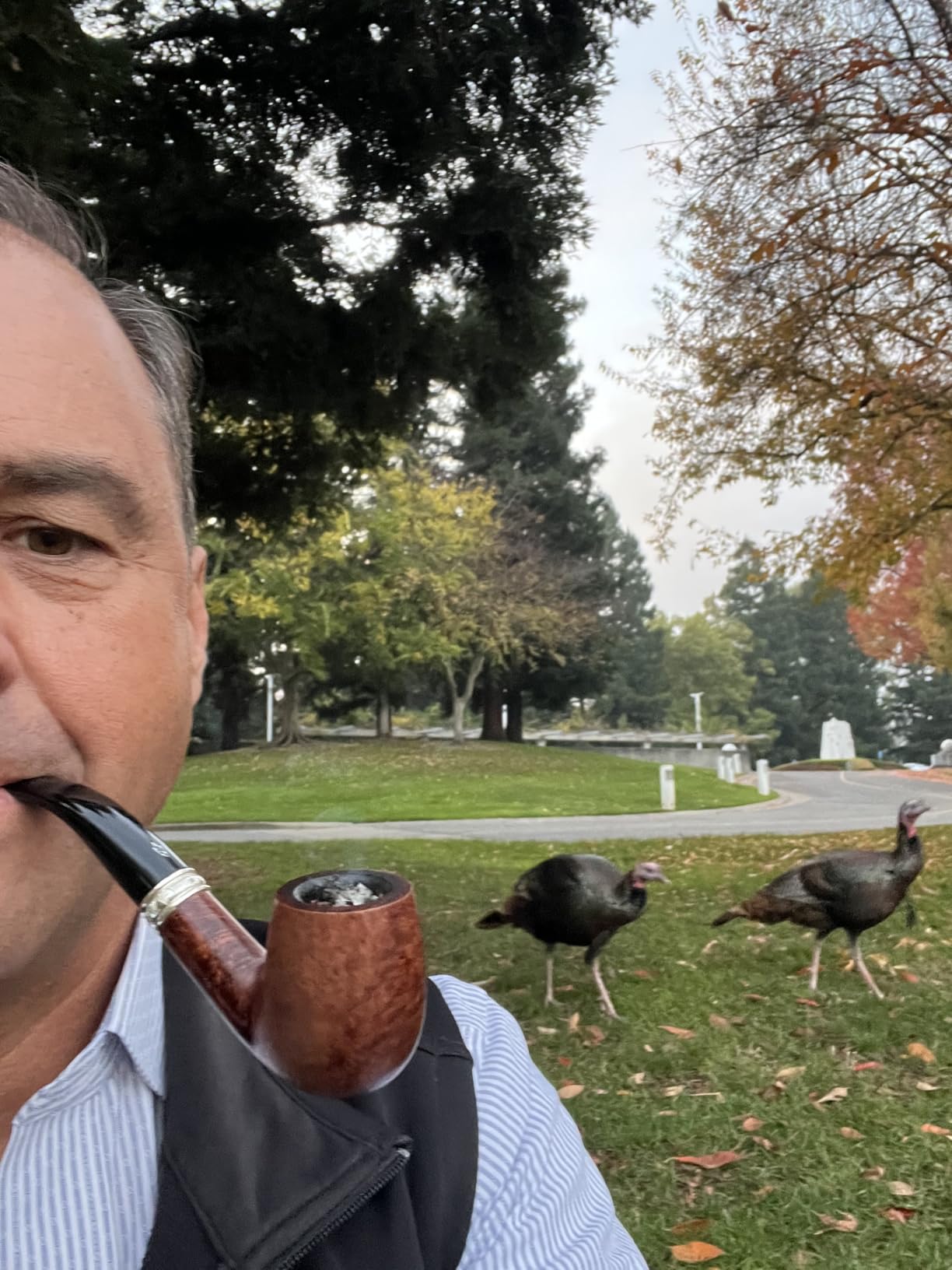 Savinelli Pipes Trevi Collection - Mediterranean Briar Wood Pipe Handmade in Italy, 6mm customer photo 1