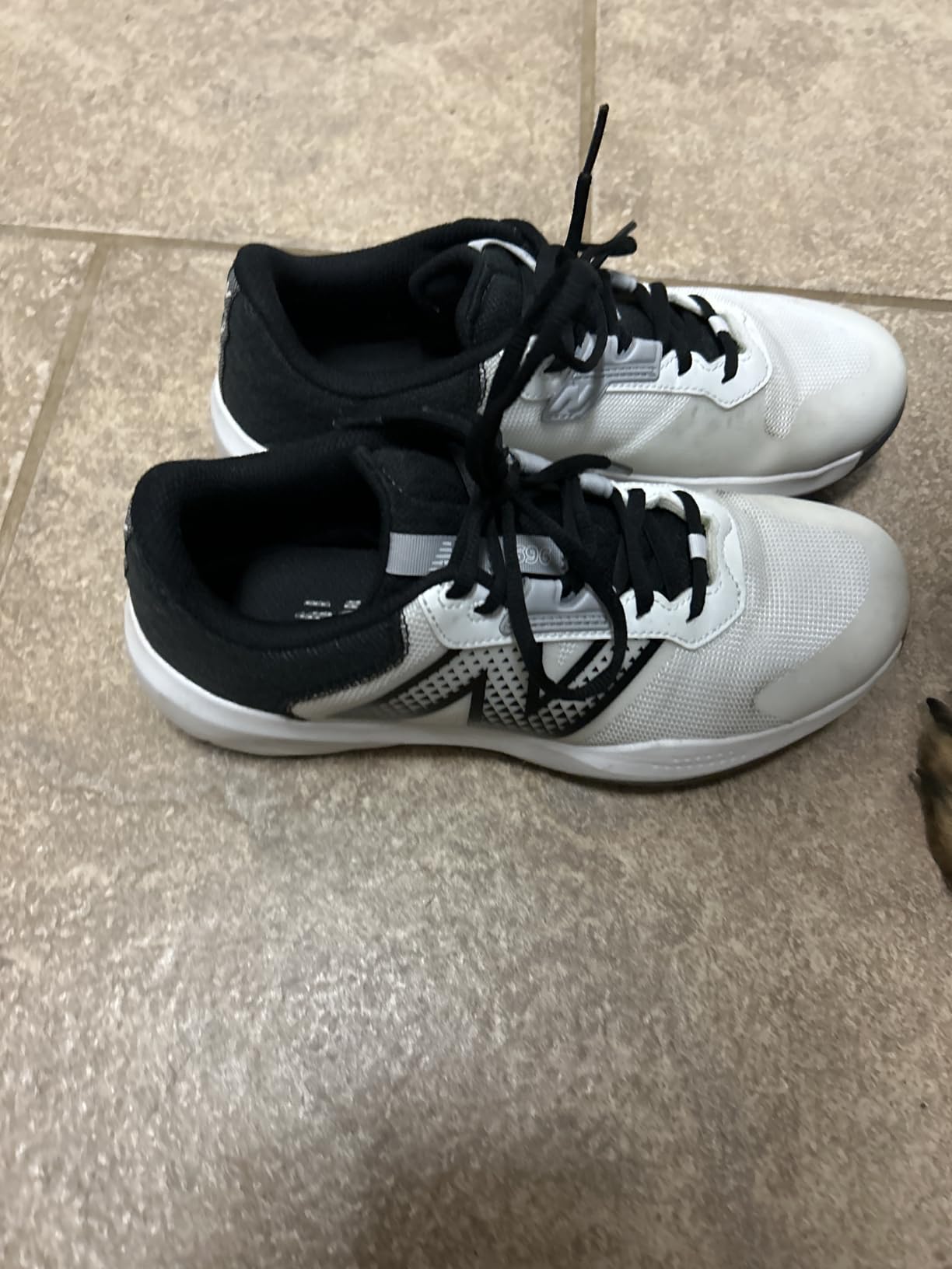 New Balance Women's 696 V6 Tennis Shoe customer photo 2