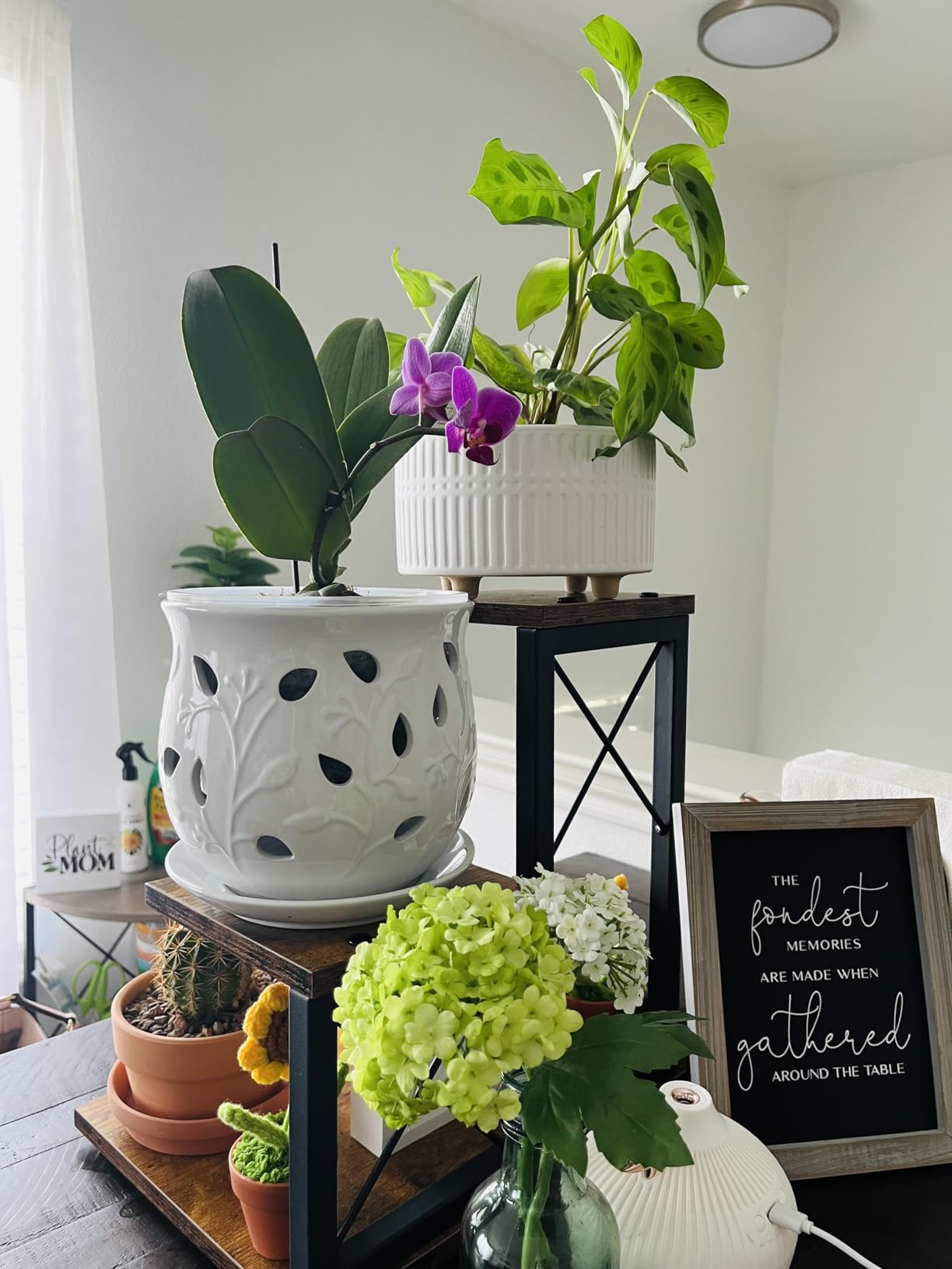 LE TAUCI Ceramic Orchid Pot, 6.5 Inch Orchid Planter with Holes for Repotting, Indoor Flower Plant Pot with Drainage and Saucer, Arctic White customer photo 2