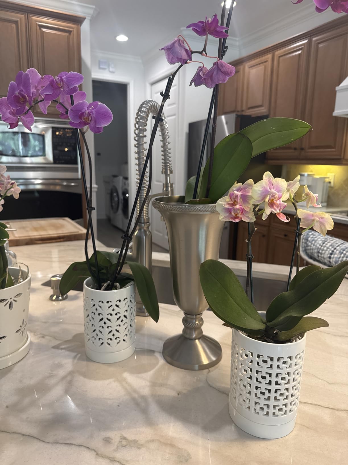 Orchid Pots with Holes, 4 Inch Ceramic Orchid Pot for Repotting, Flower Planter Pot Indoor Outdoor, Breathable Slotted Orchids Planter White customer photo 2