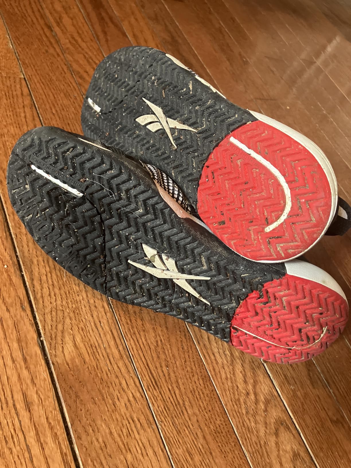Reebok Men's Nano Court Sport Pickleball Shoes customer photo 2